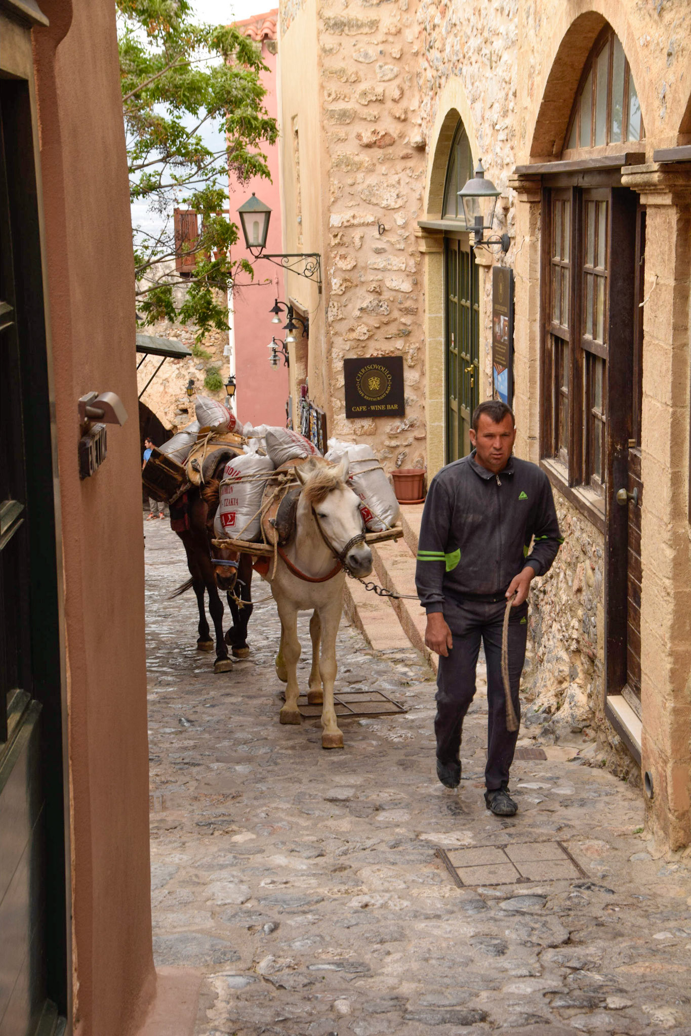 Man leading mules, Monemvasia, Greece