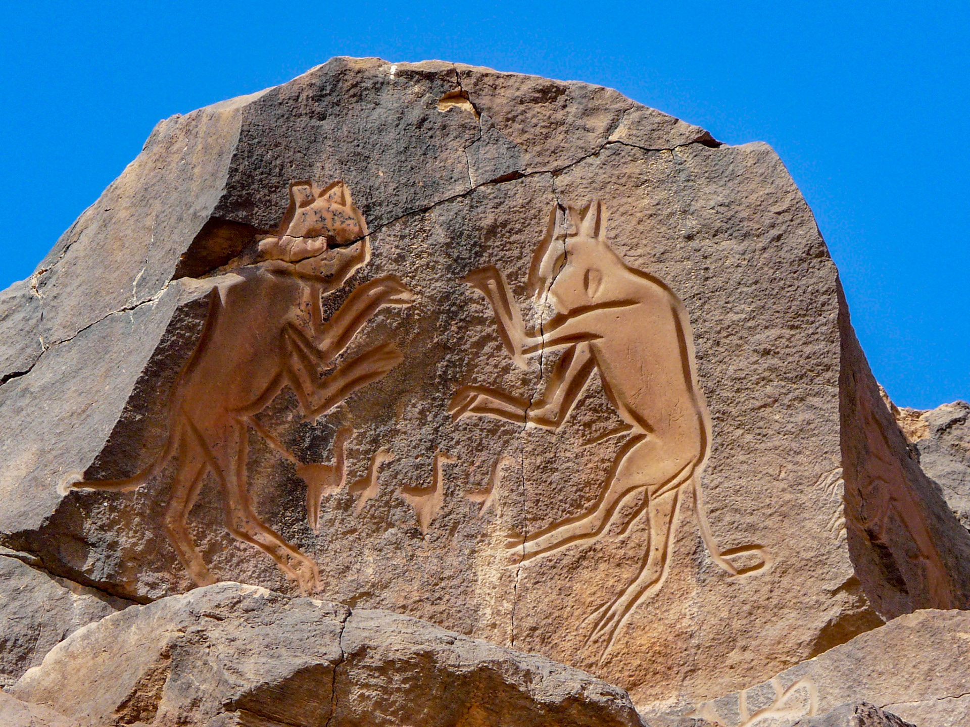 Carving of fighting cats, Wadi Methkandoush