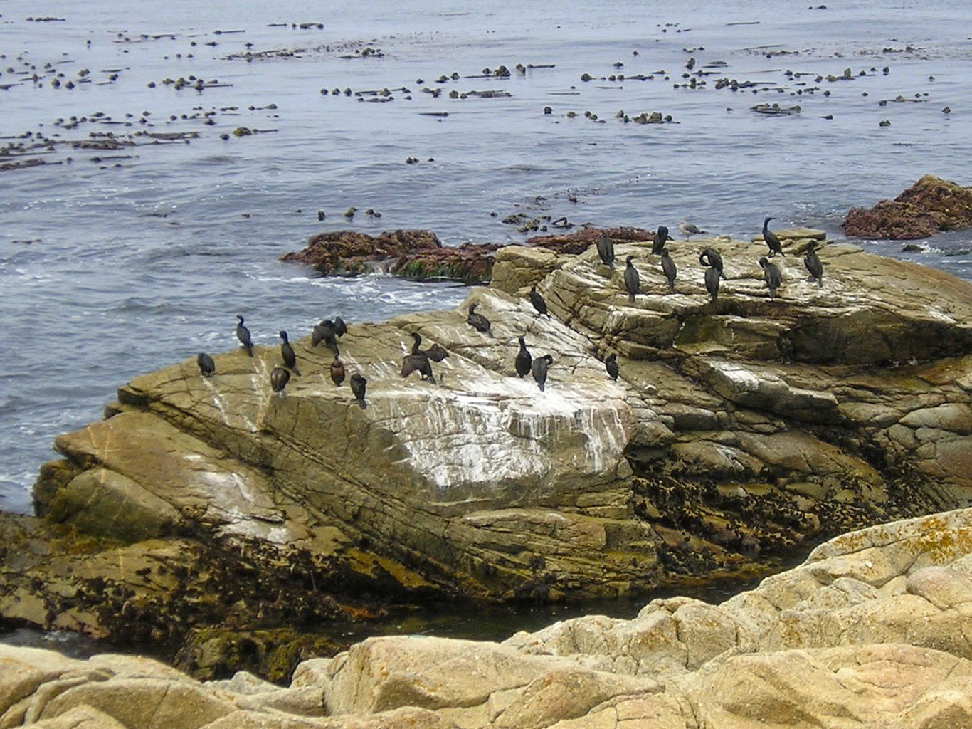 Coastline near Santa Cruz