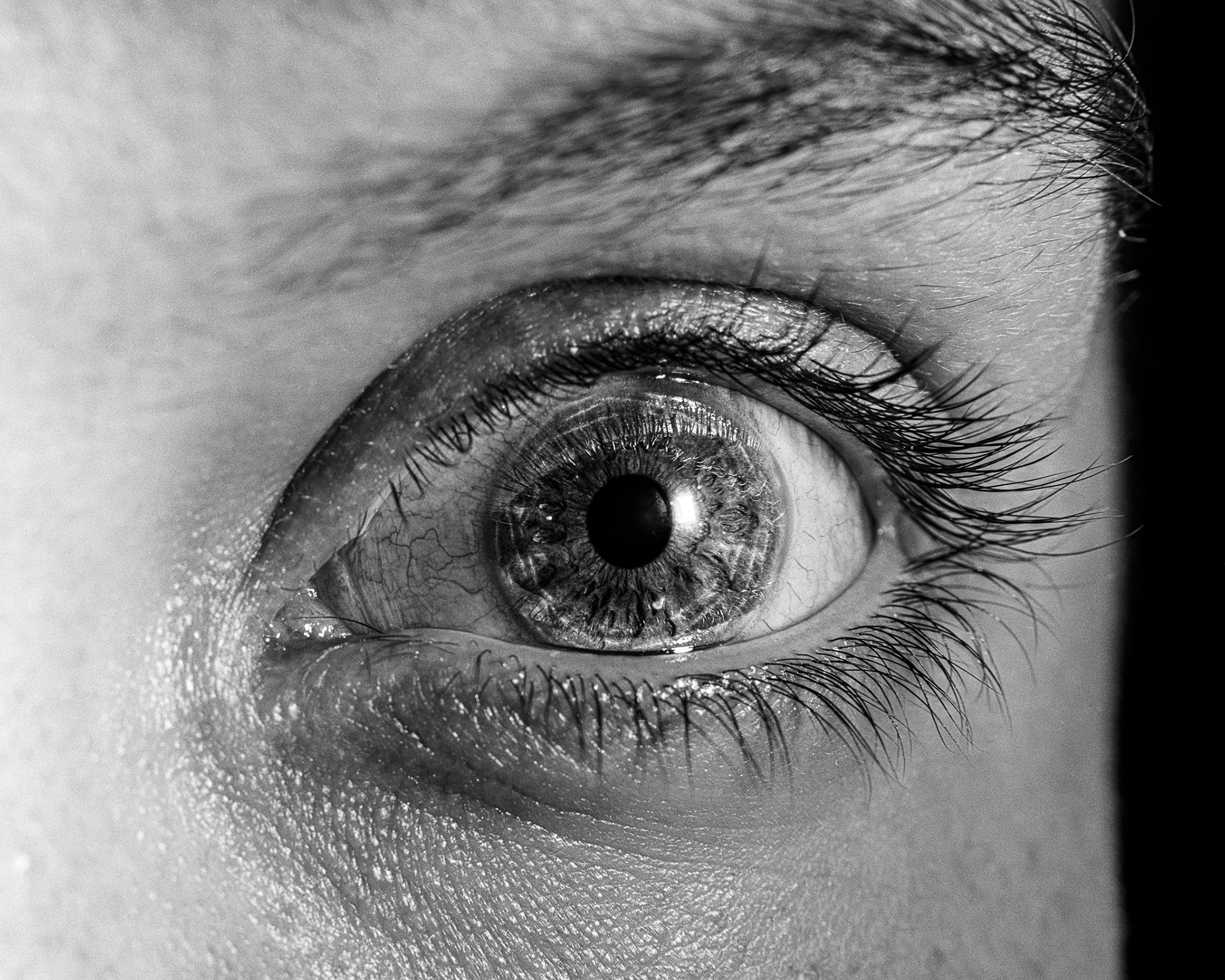 large format macro photography