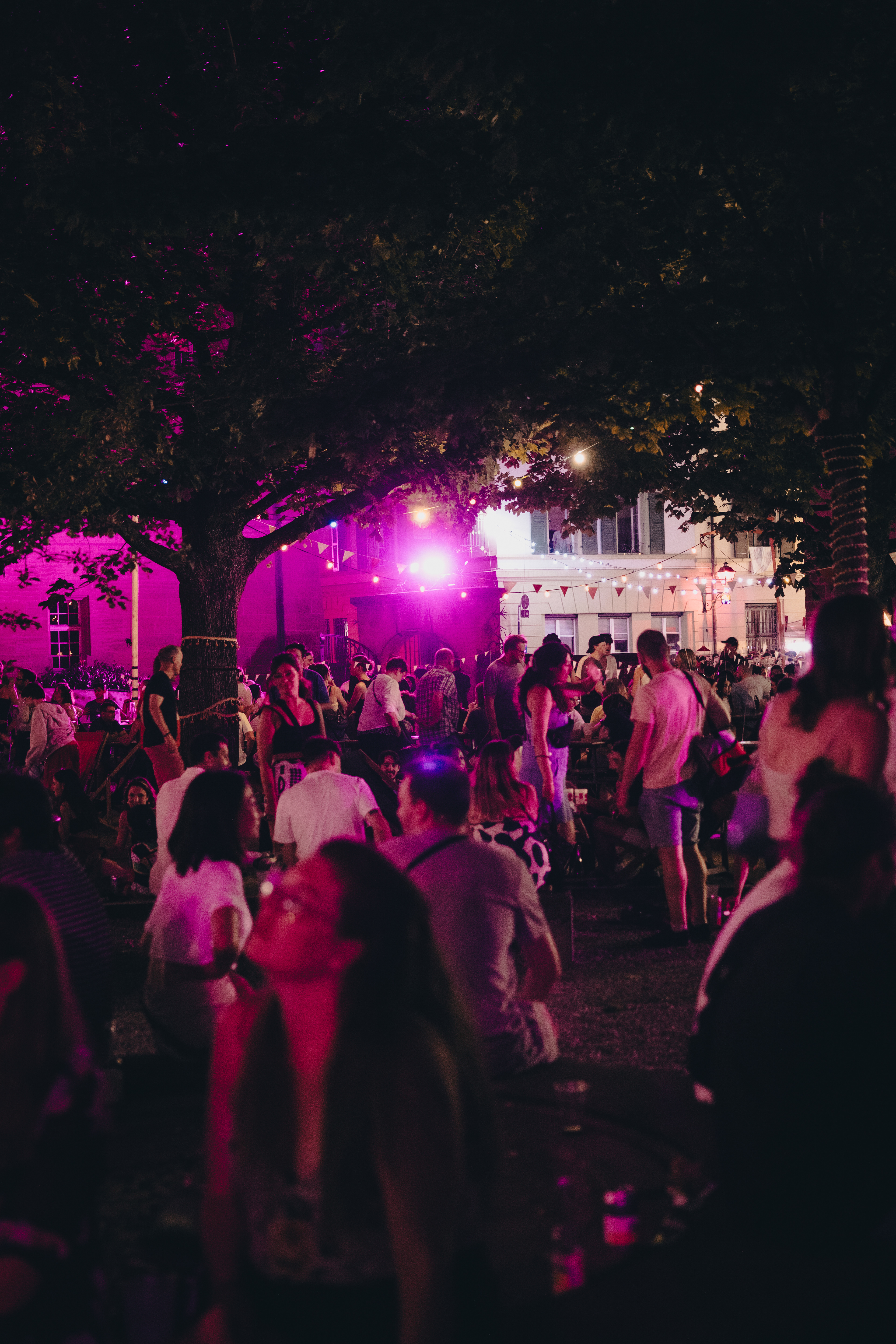 Placette Bonnard © Nikita Thévoz 