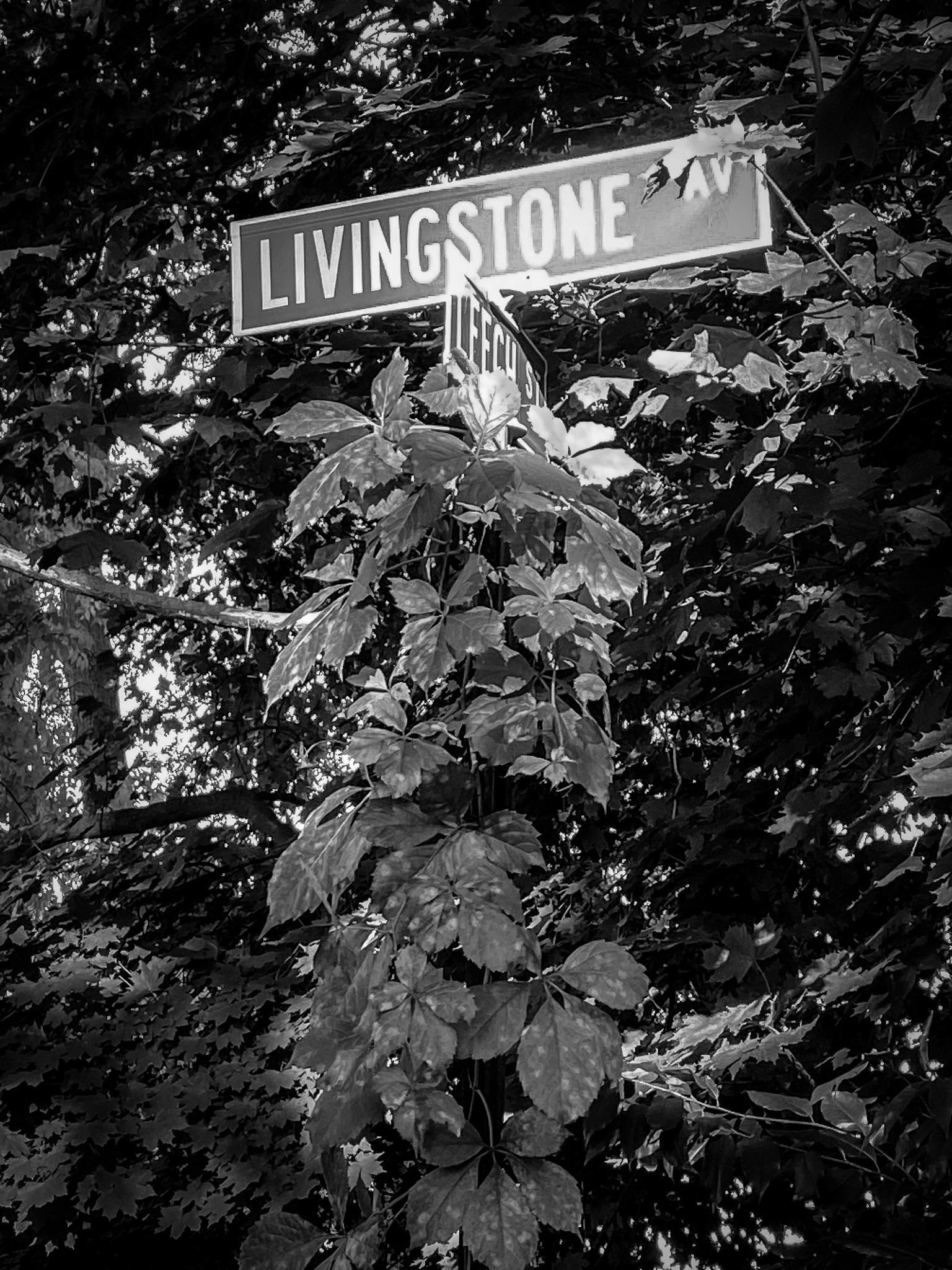 Time waits for no one