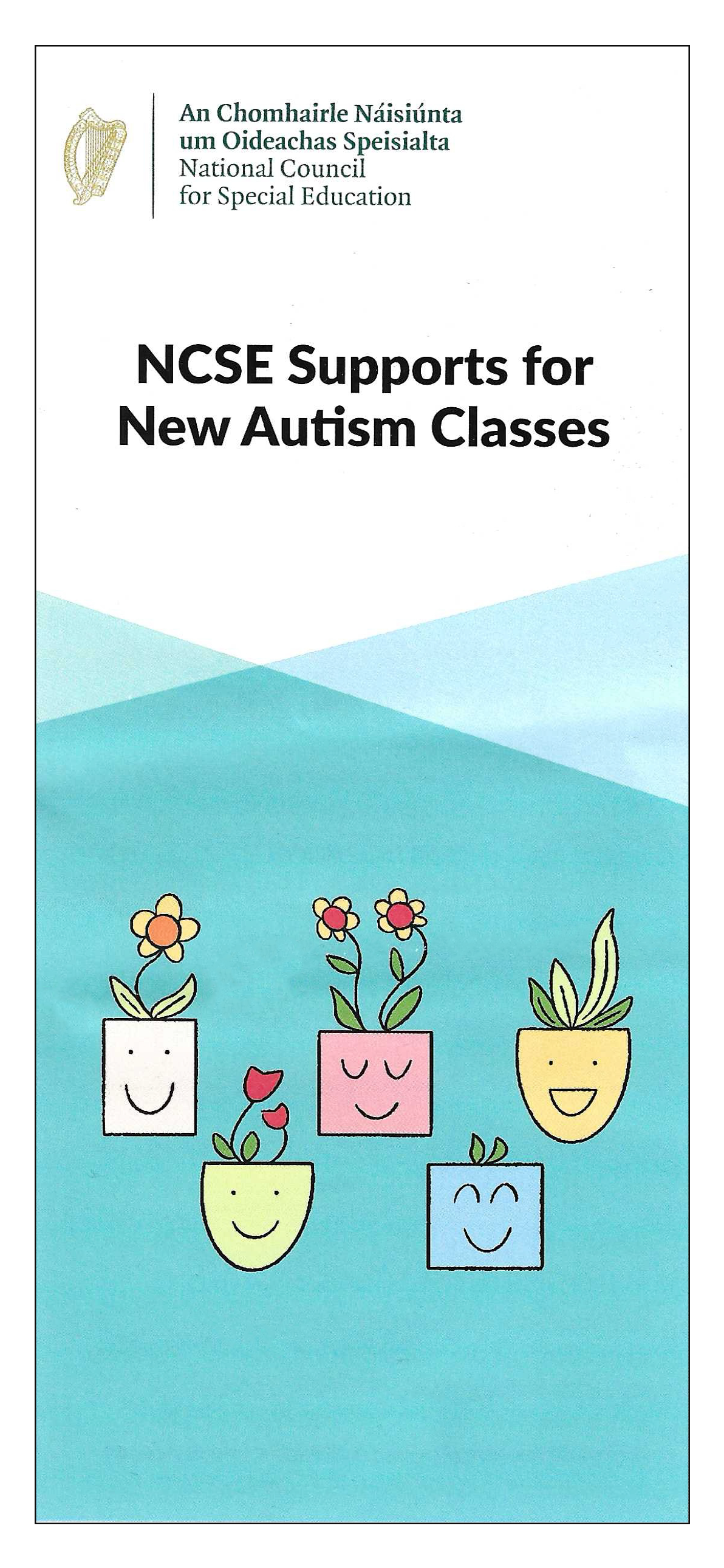 Amy Lauren Illustration and Graphic Recording, Copyrighted 2026 – spot illustration of plants growing at different stages, for an NCSE leaflet on new autism classes, Dublin, Ireland.