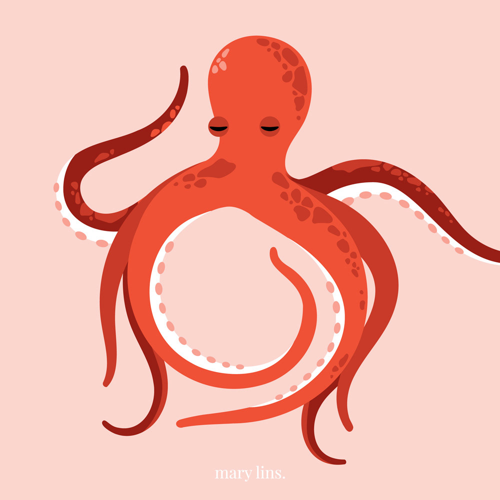 O for Octopus