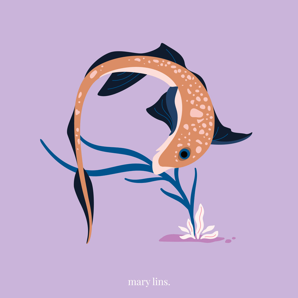 R for Ratfish
