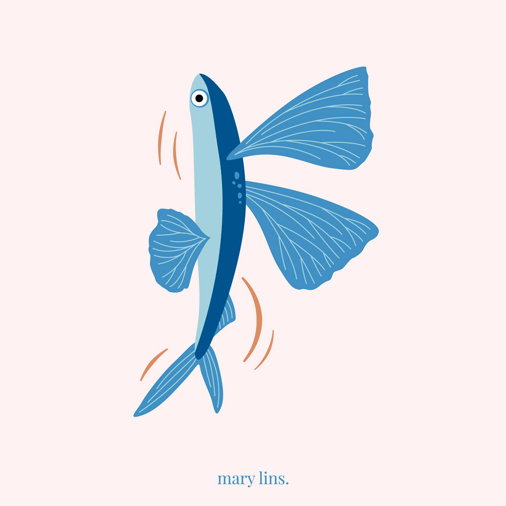 F for Flying Fish
