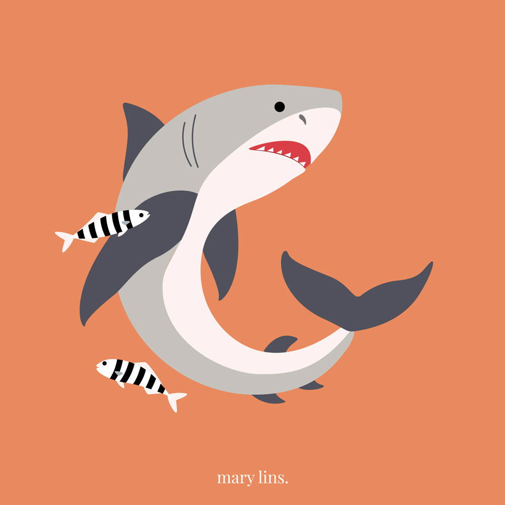 G for Great White Shark
