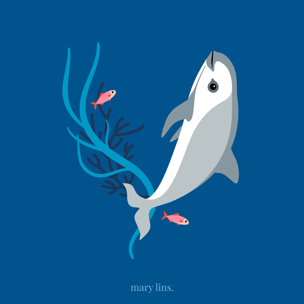 V for Vaquita