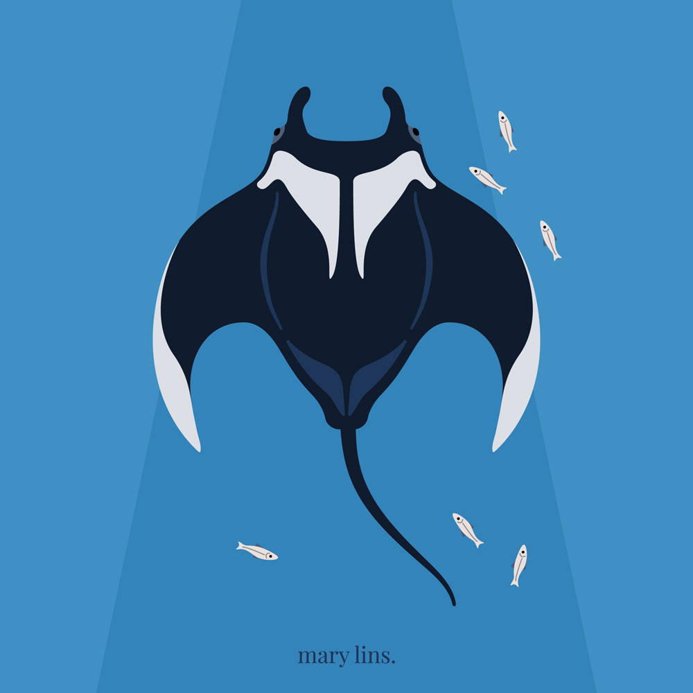 M for Manta Ray
