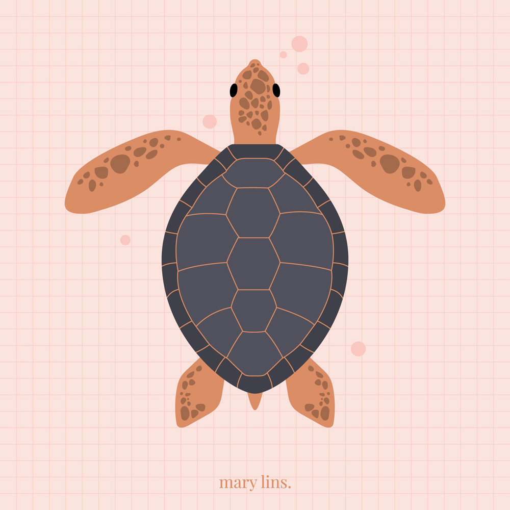 T for Turtle