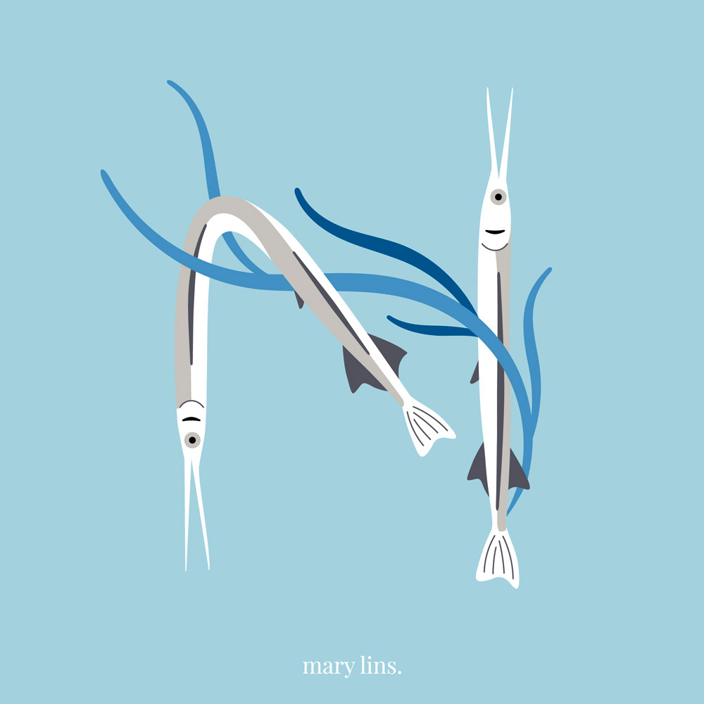 N for Needlefish