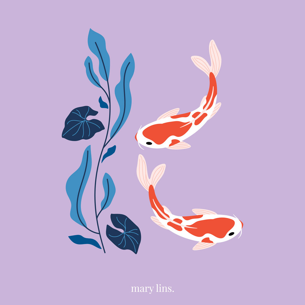 K for Koi