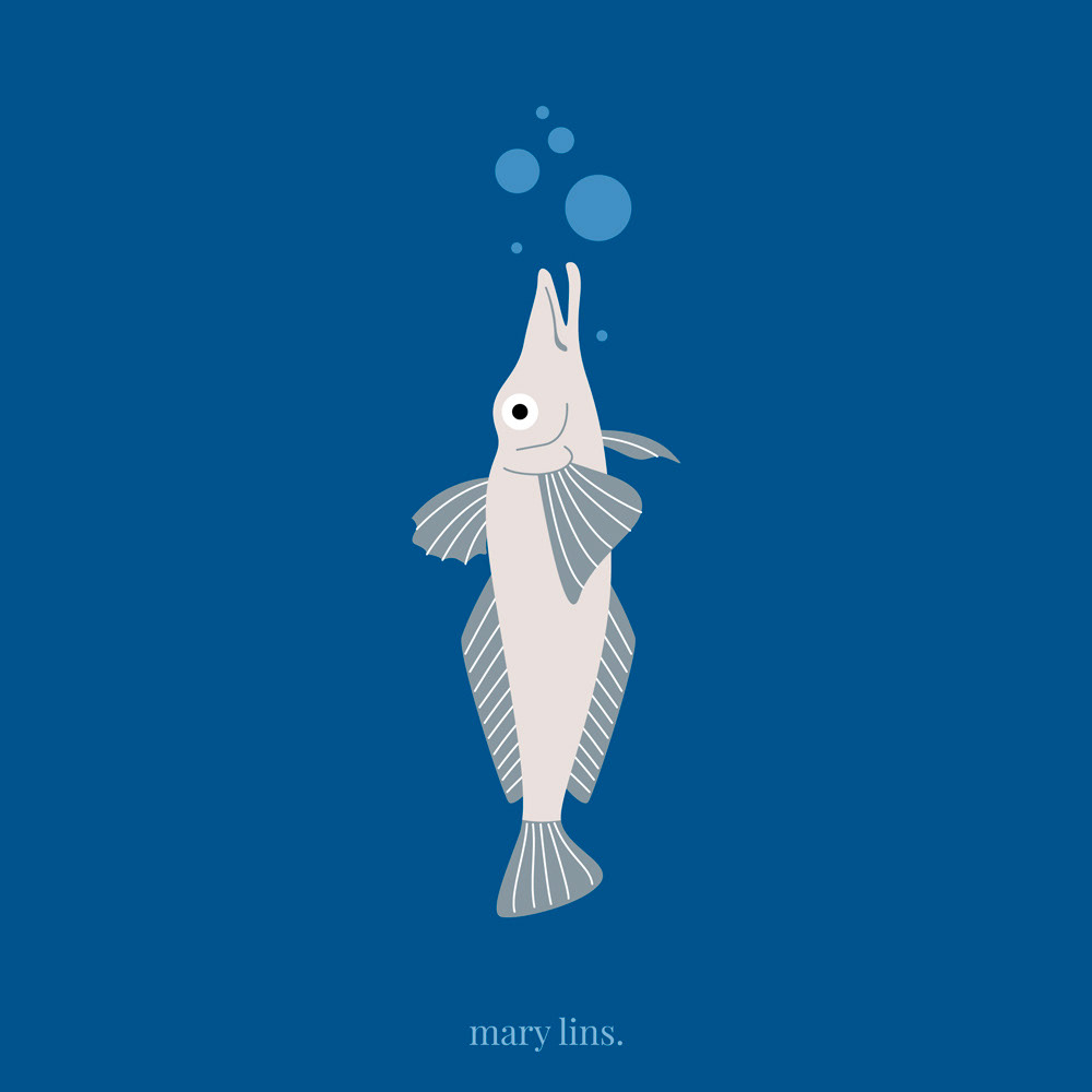 I for Icefish