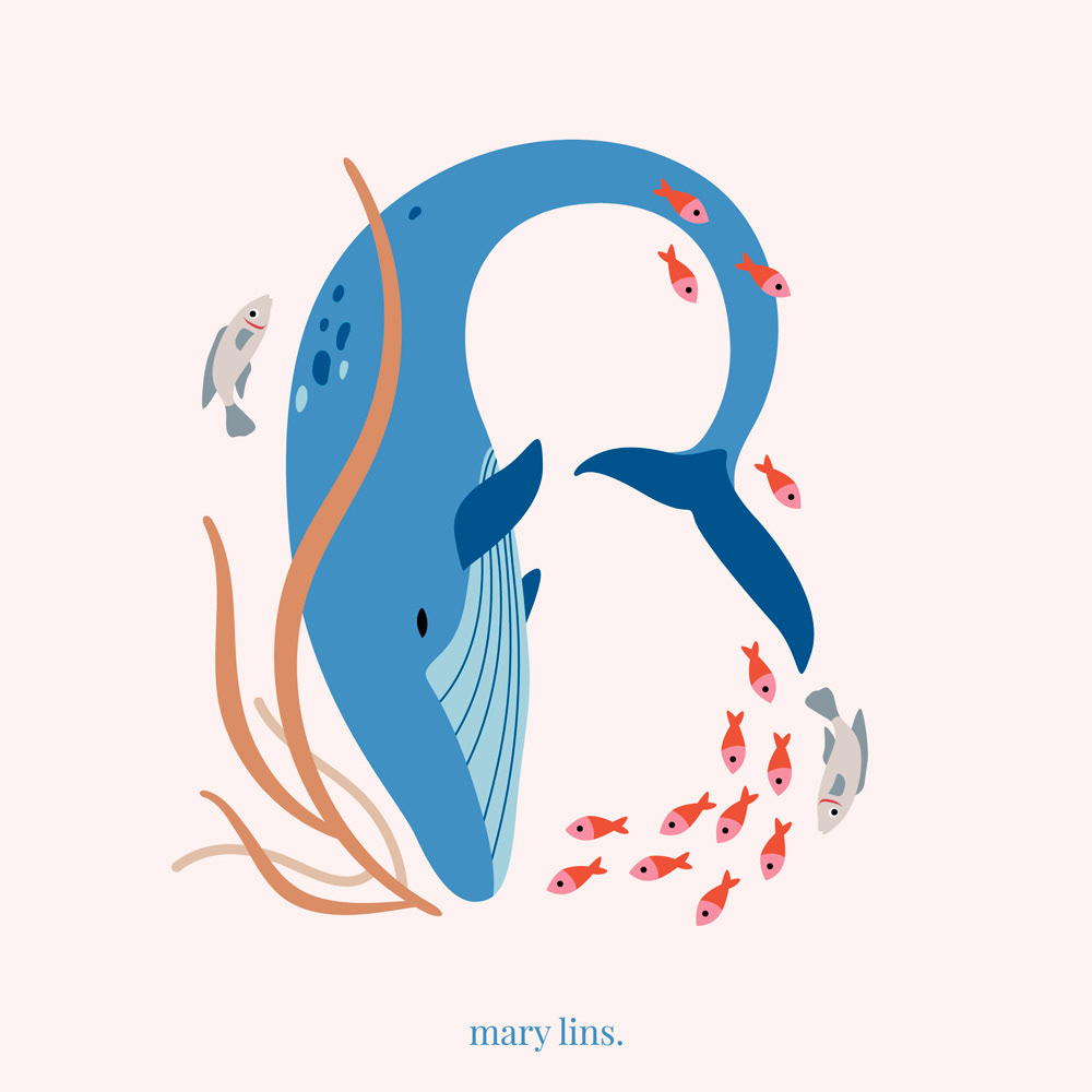B for Baleen Whale