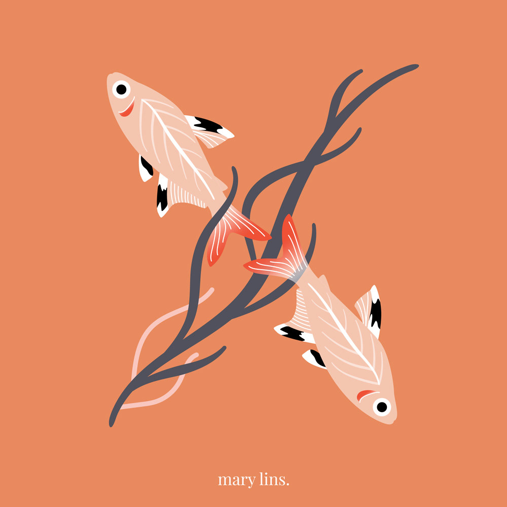 X for X-ray Tetra