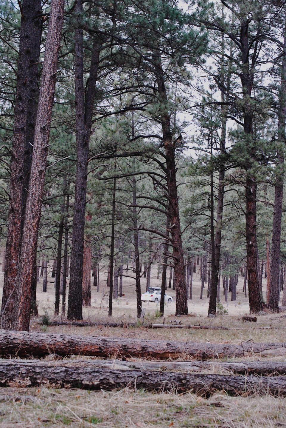 Ruidoso, NM
