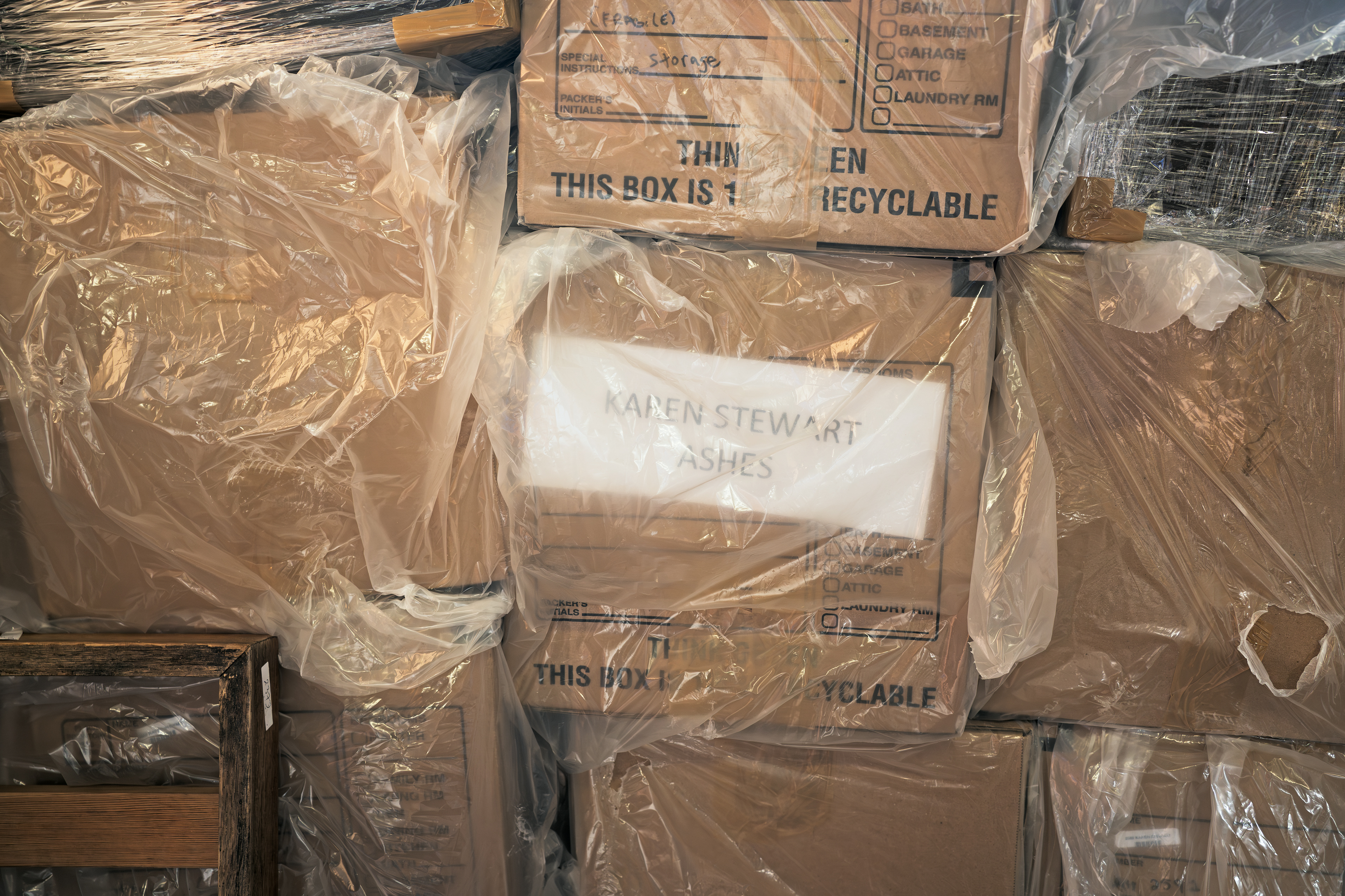 Untitled, 2024, digital photograph