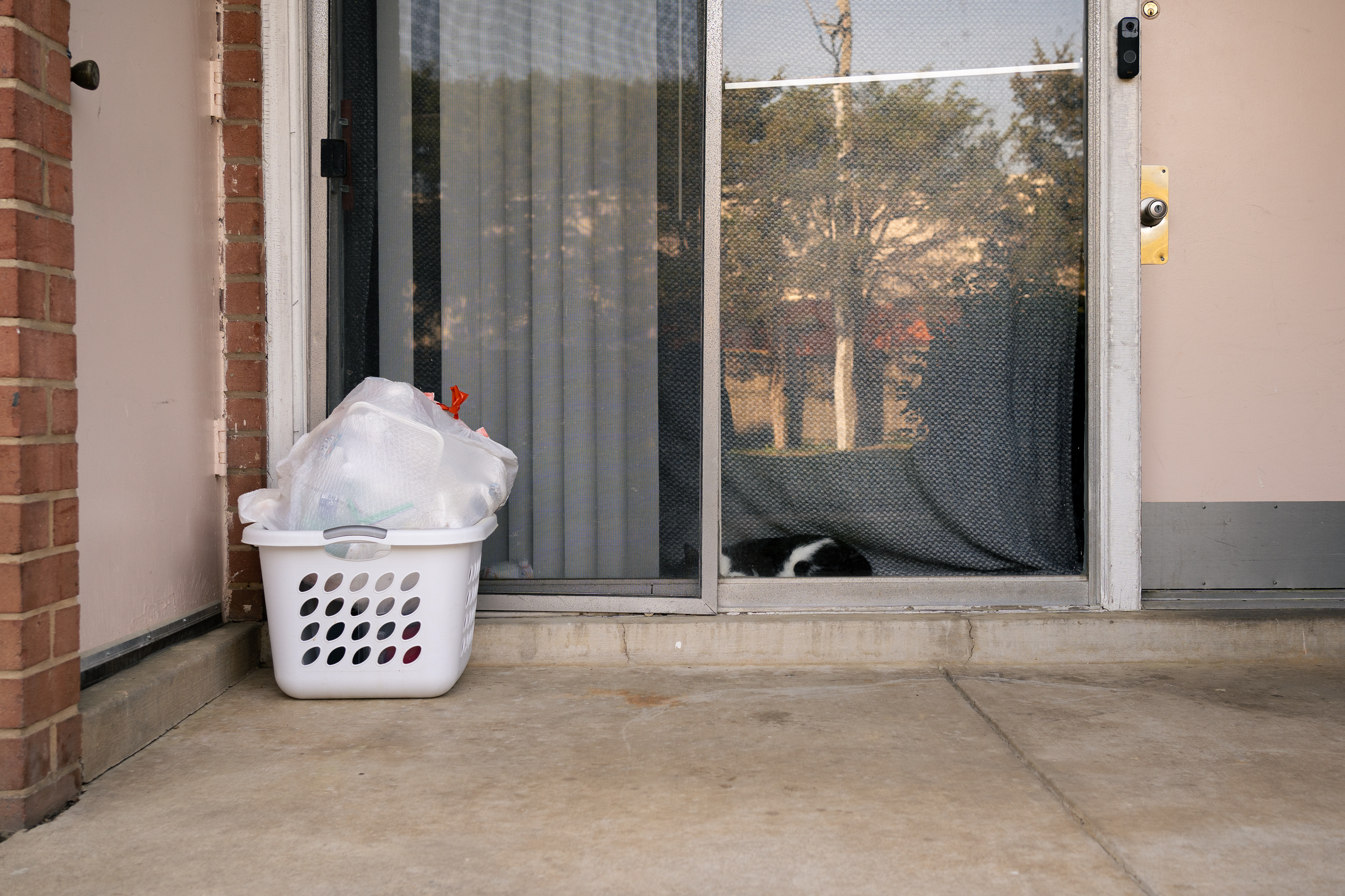Untitled #8, 2025, digital photograph