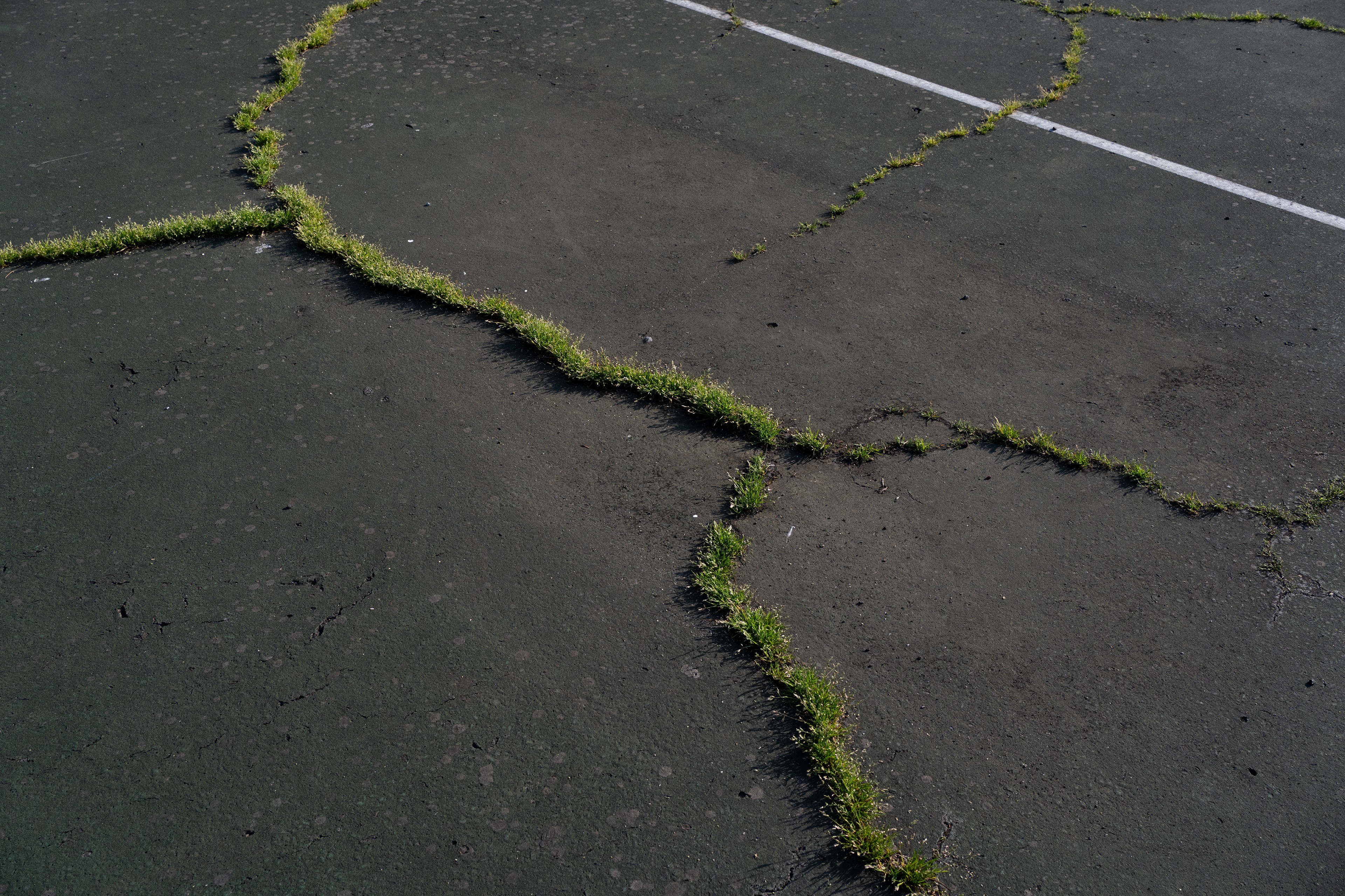 Untitled #10, 2025, digital photograph