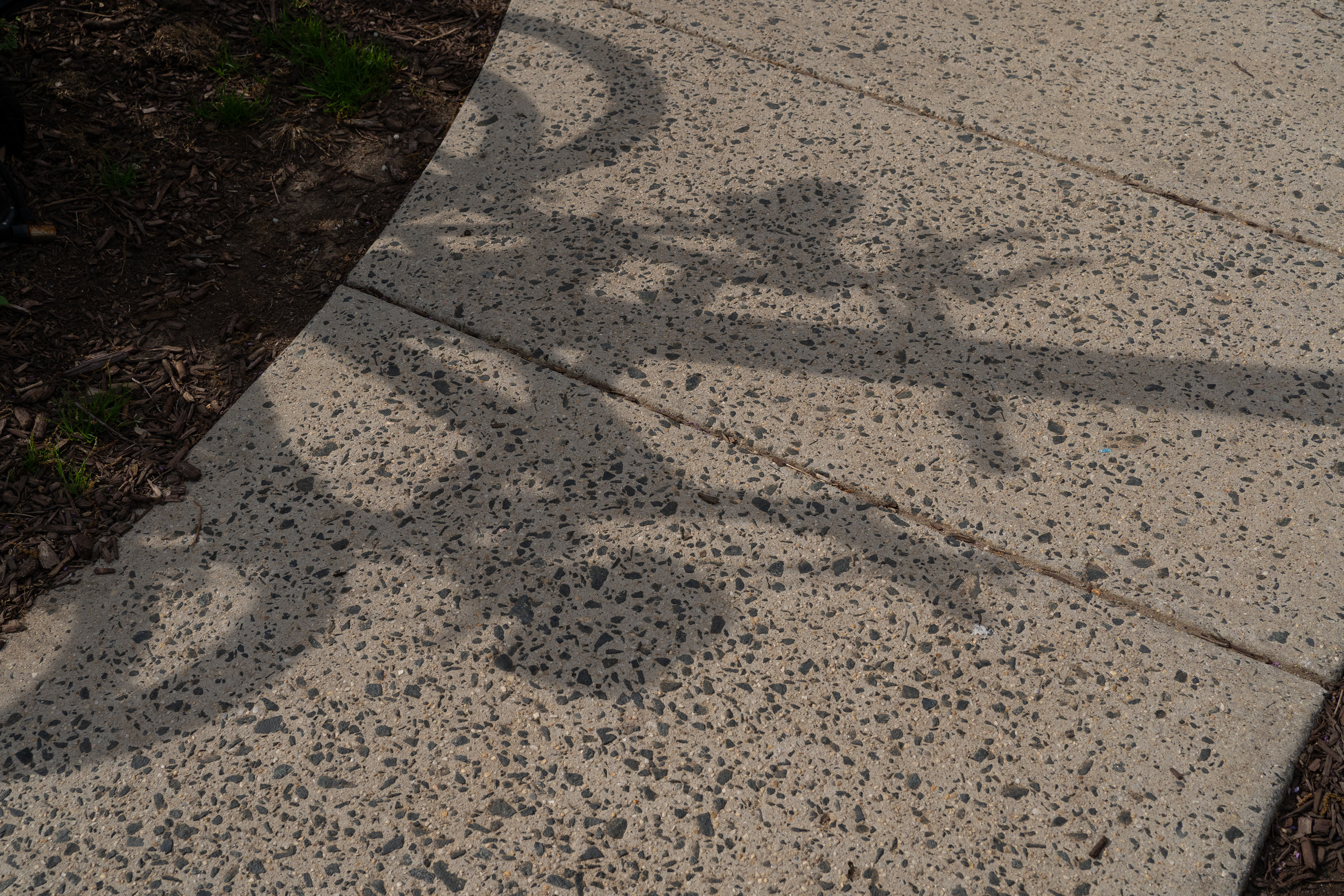 Untitled #7, 2025, digital photograph