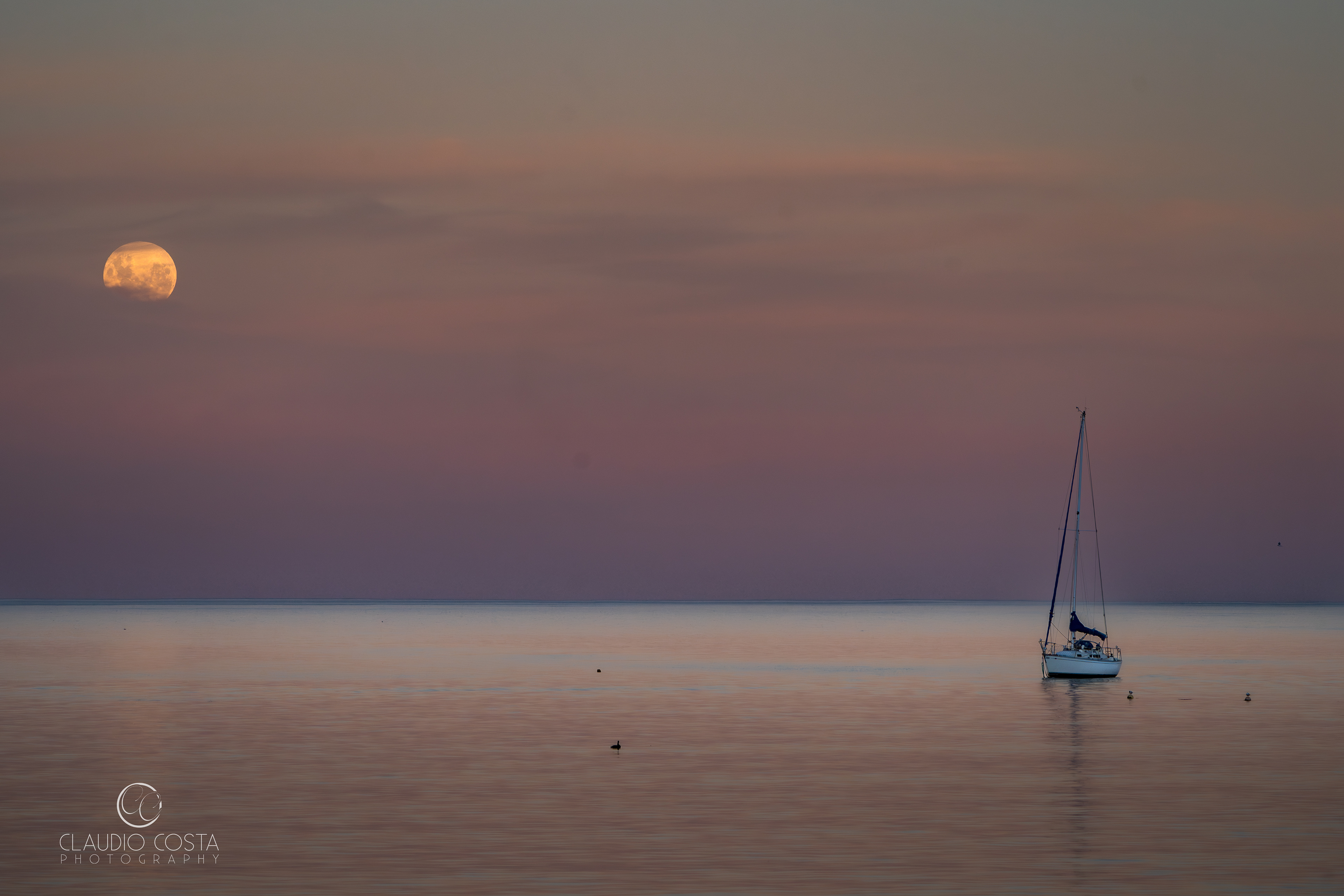 Pto Madryn - Patagonia Argentina