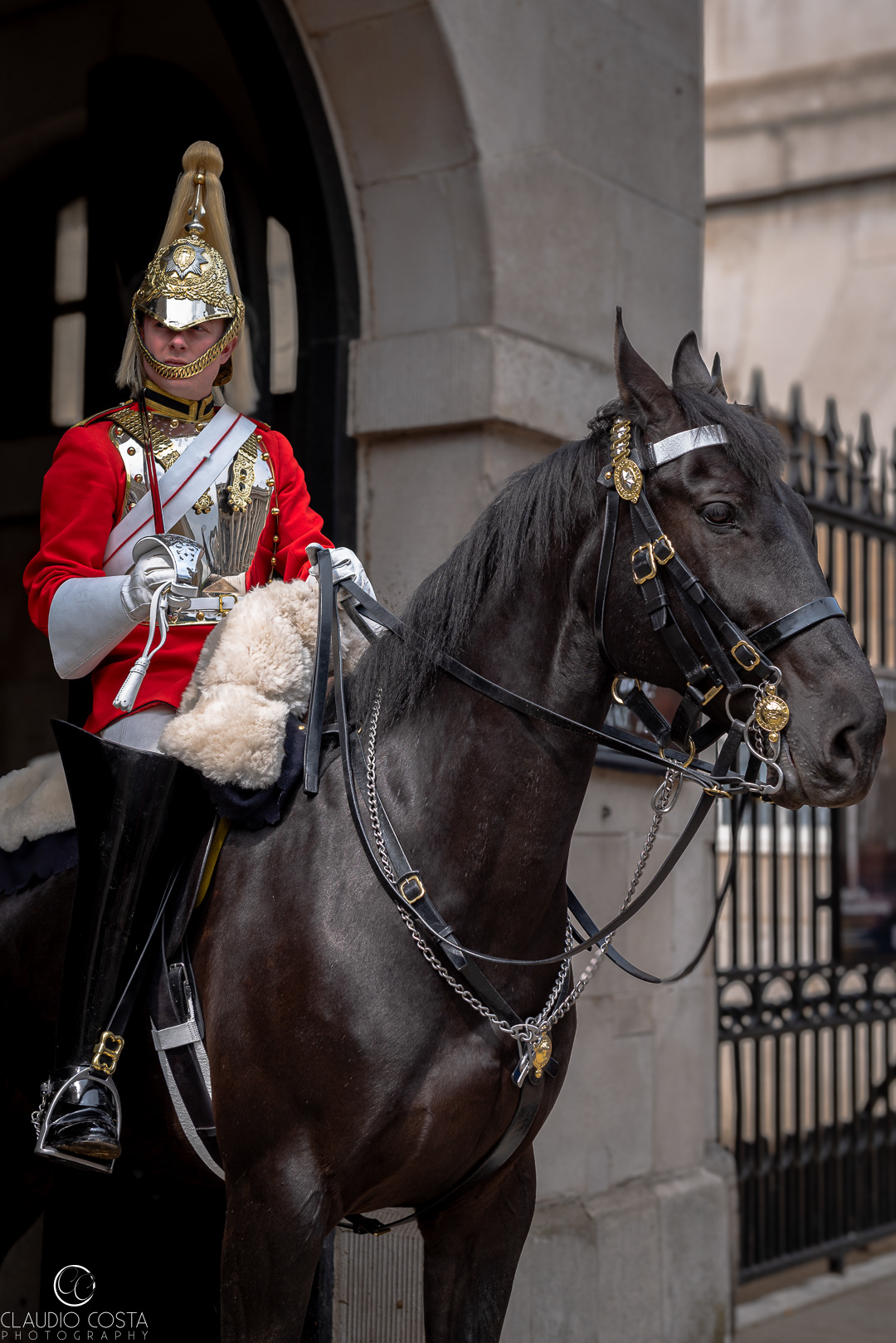 Horse Guard