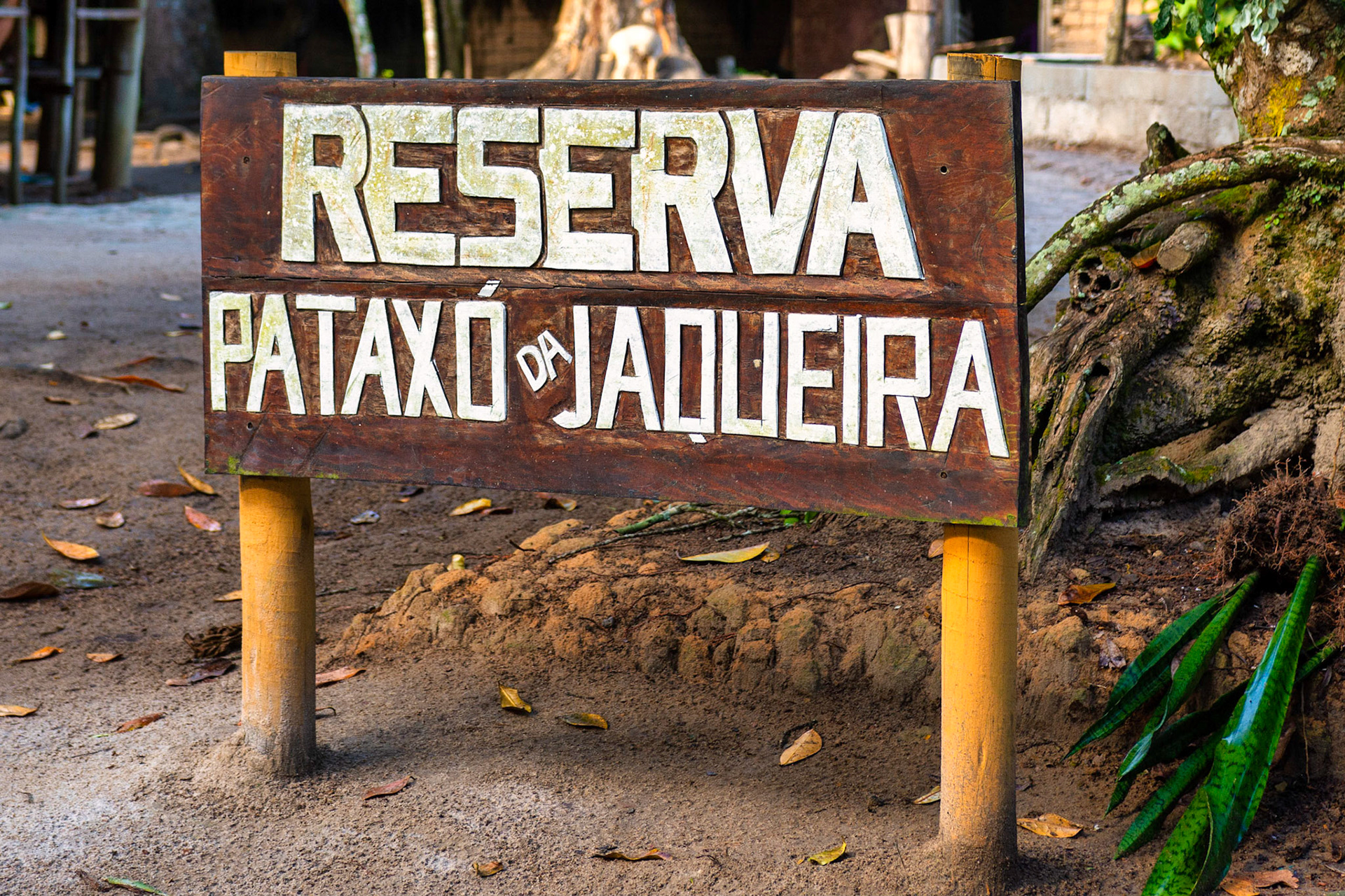 Reserva Pataxó da Jaqueira