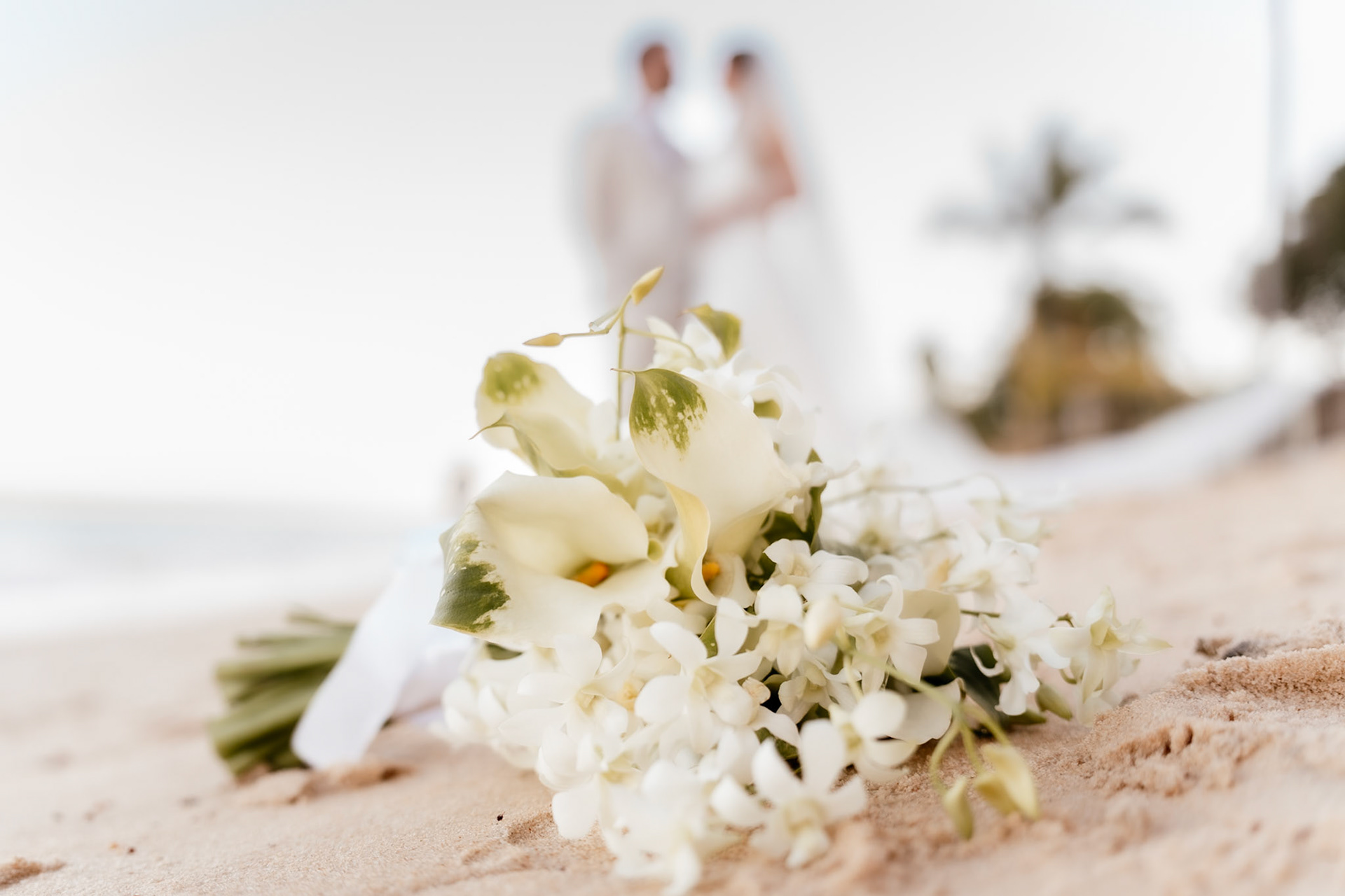 Ensaio de Casamento na Praia em Arraial da Ajuda Bahia