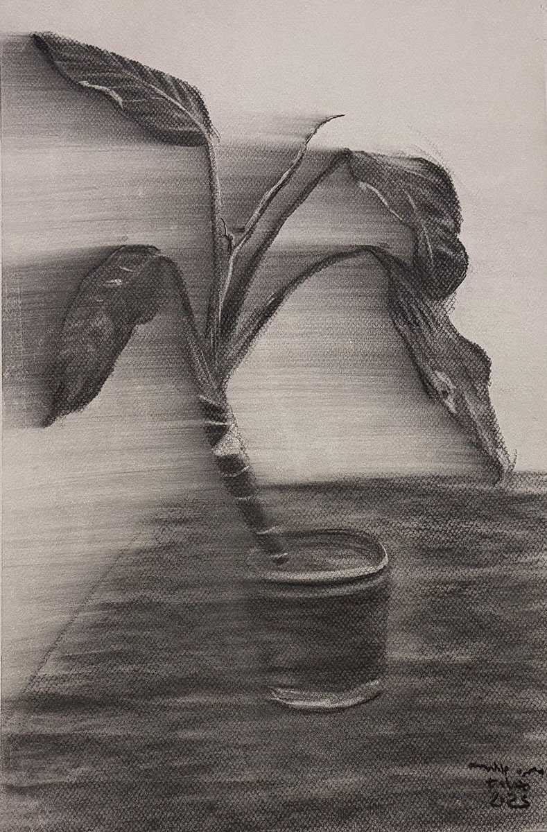 Charcoal on paper