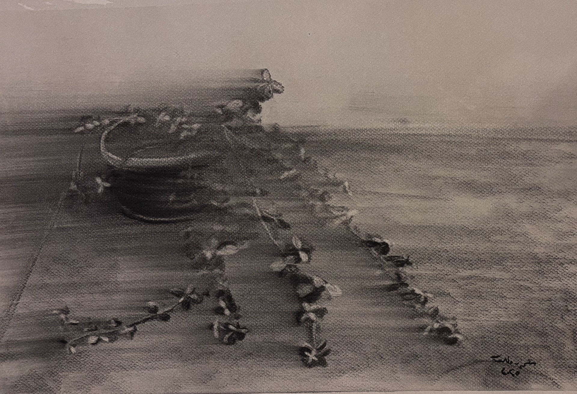 Charcoal on  colored paper