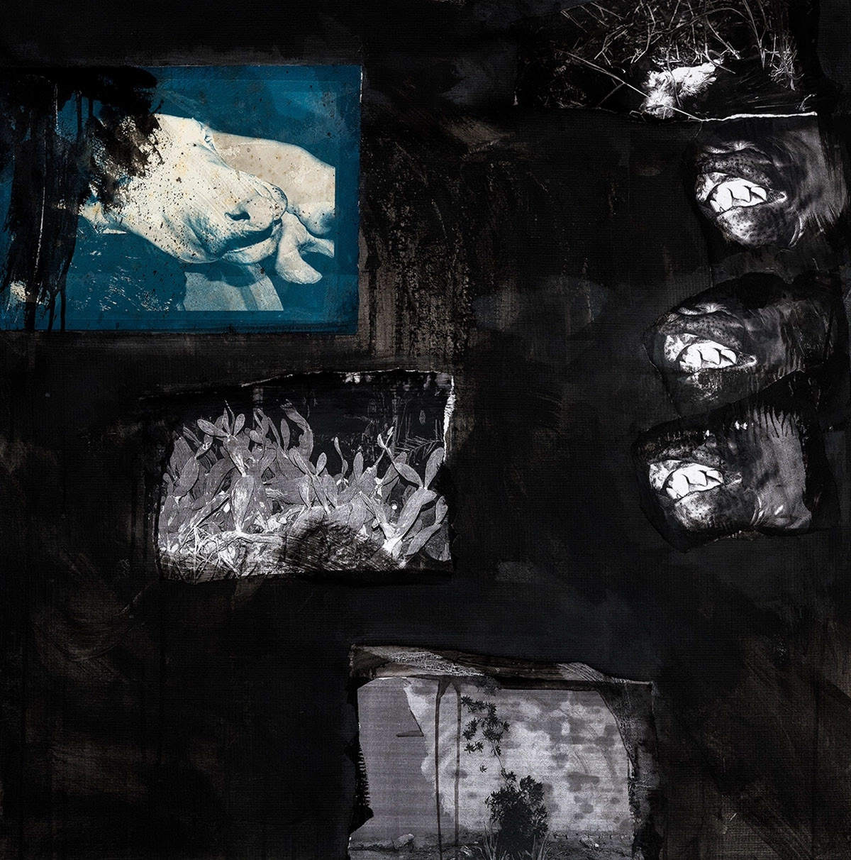 Collage on canvas-80x80cm