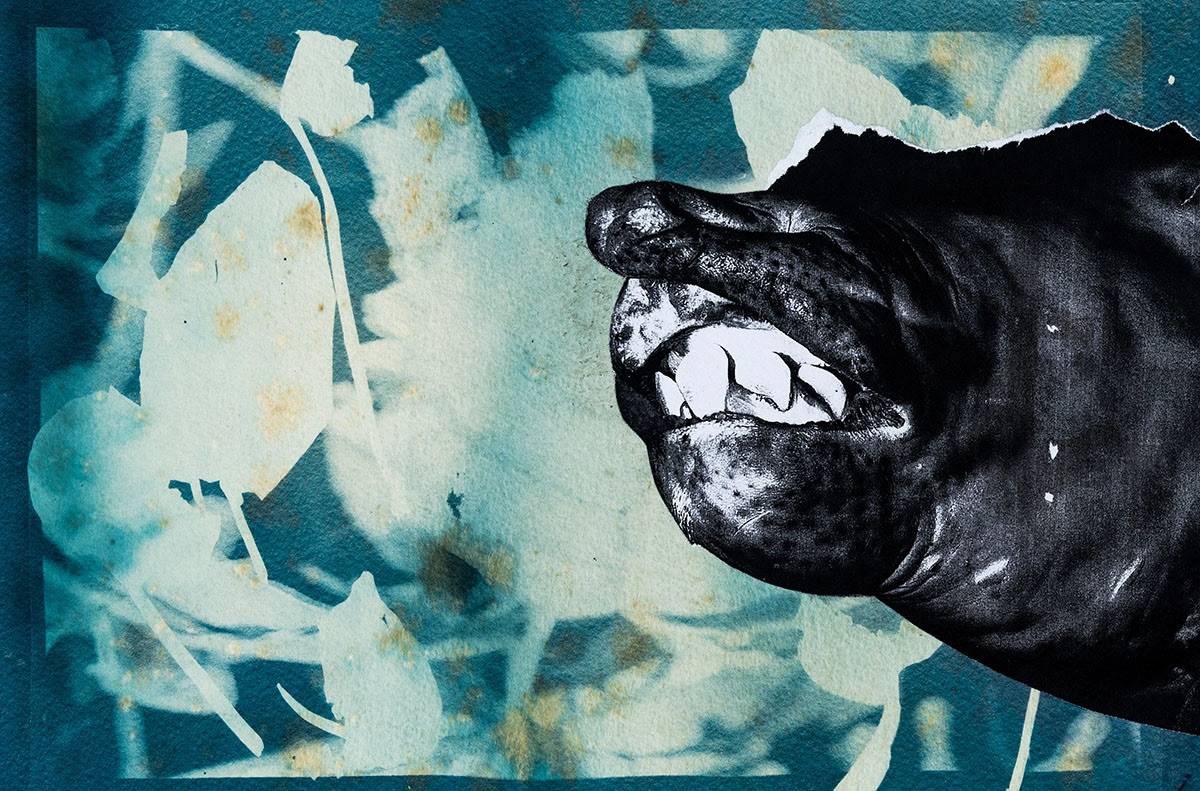 Collage on paper