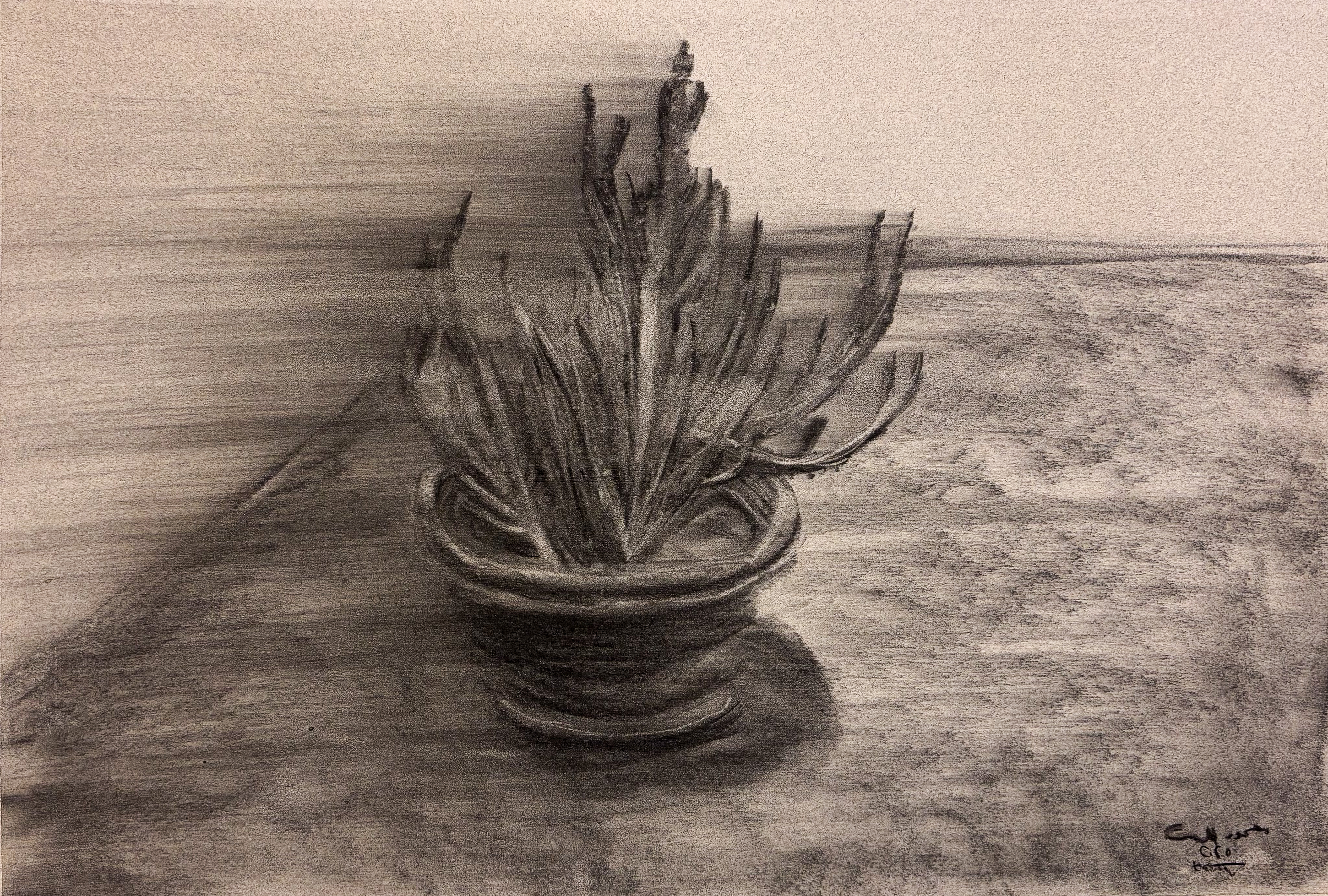 Charcoal on colored paper