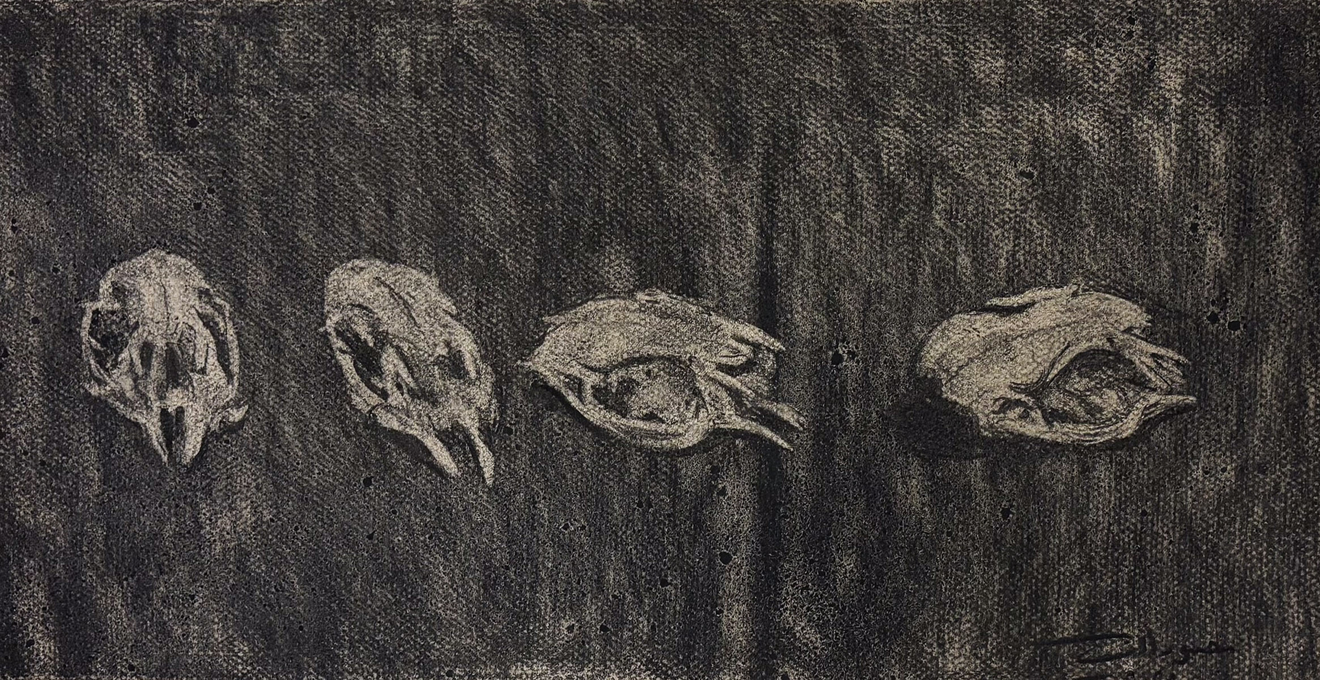 Charcoal on paper