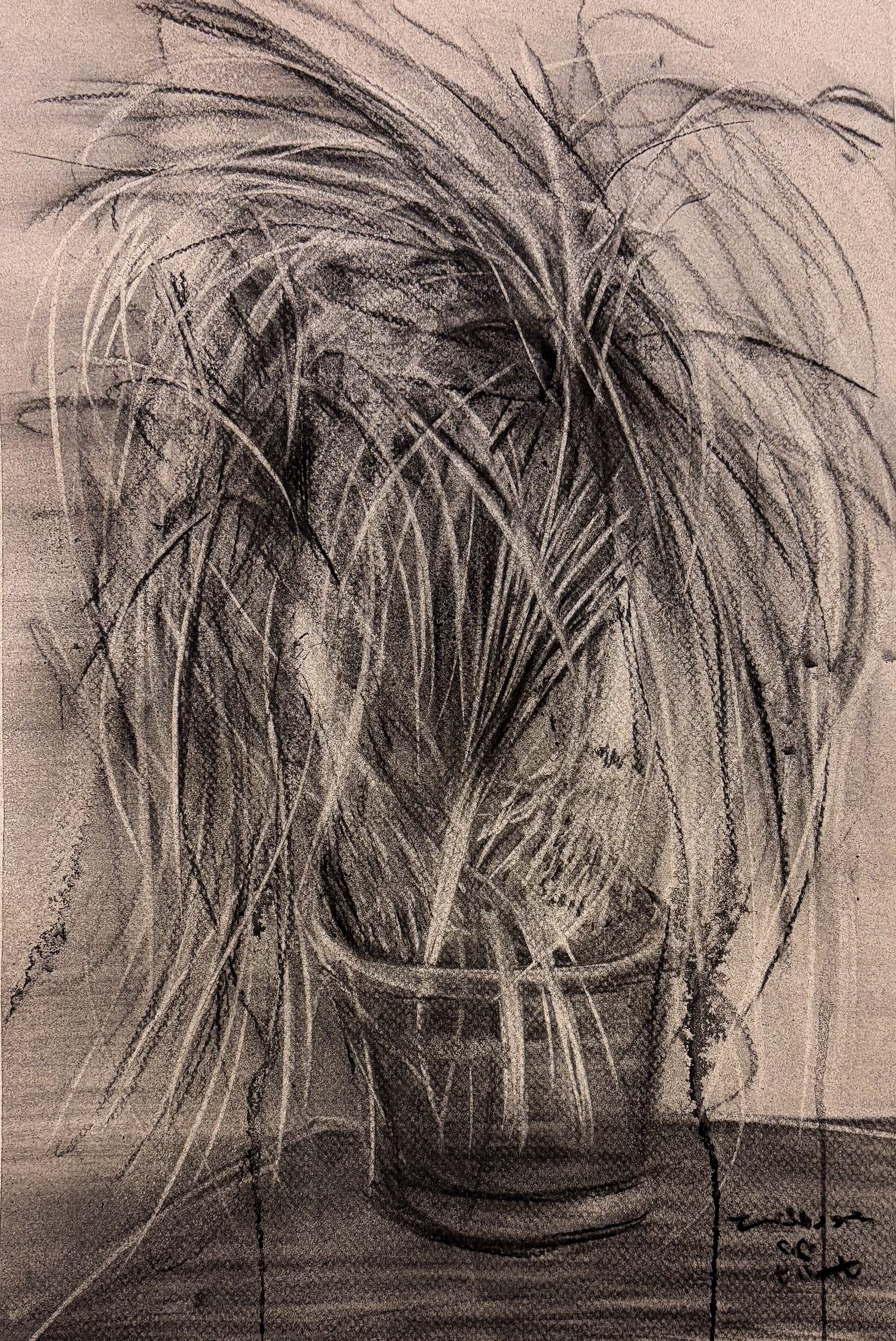 Charcoal on coloed paper