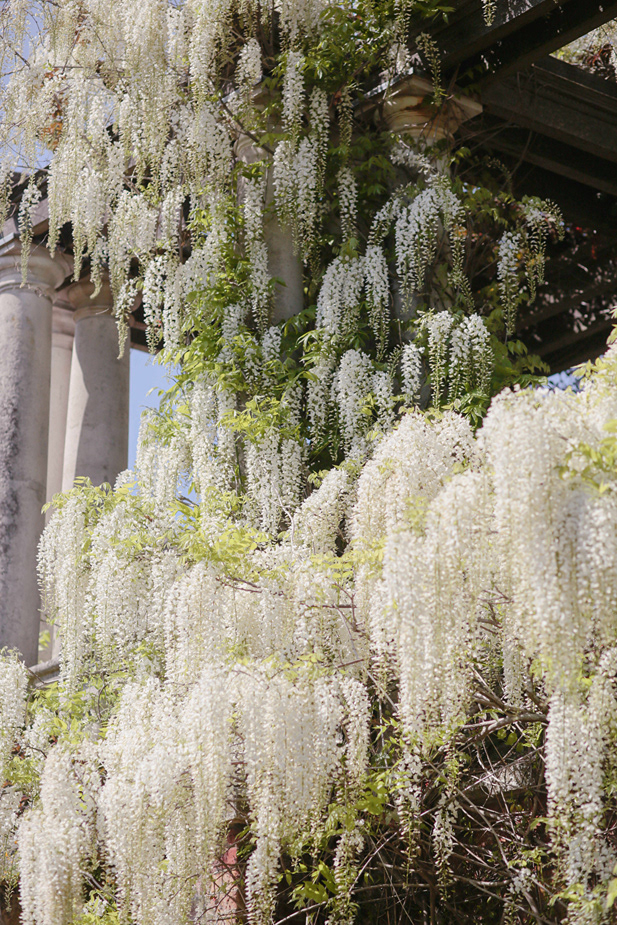 Hampstead Pergola and Hill Garden, London, UK