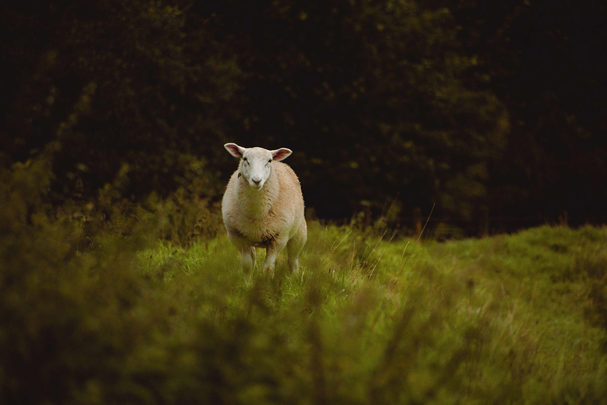 Lake District, UK