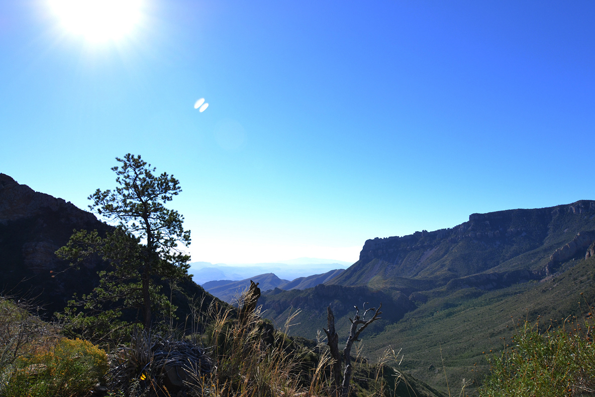 Big Bend National Park, Texas, USA