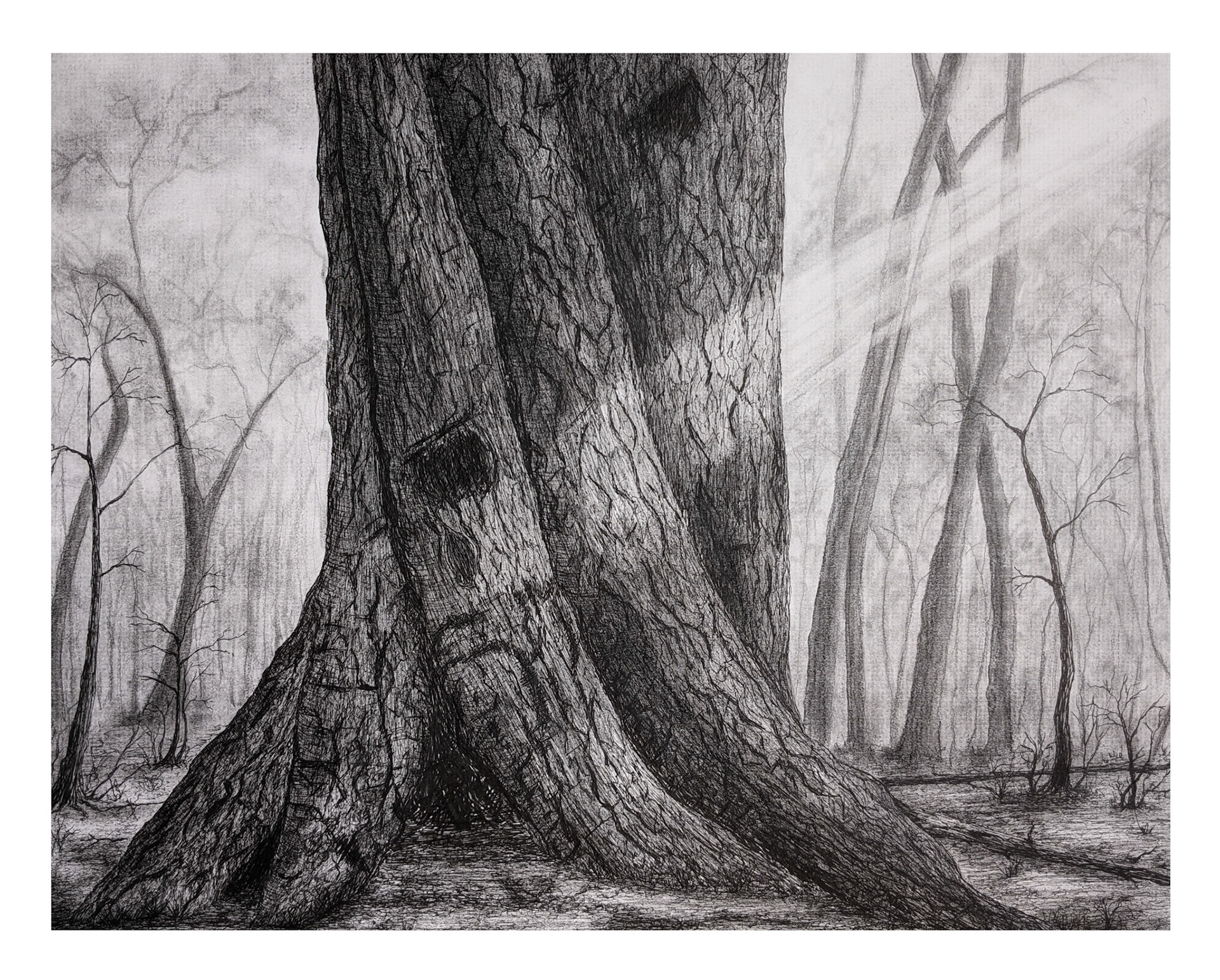 Titre: La base. Format: 16''X20''. Médiums: Encre et graphite.