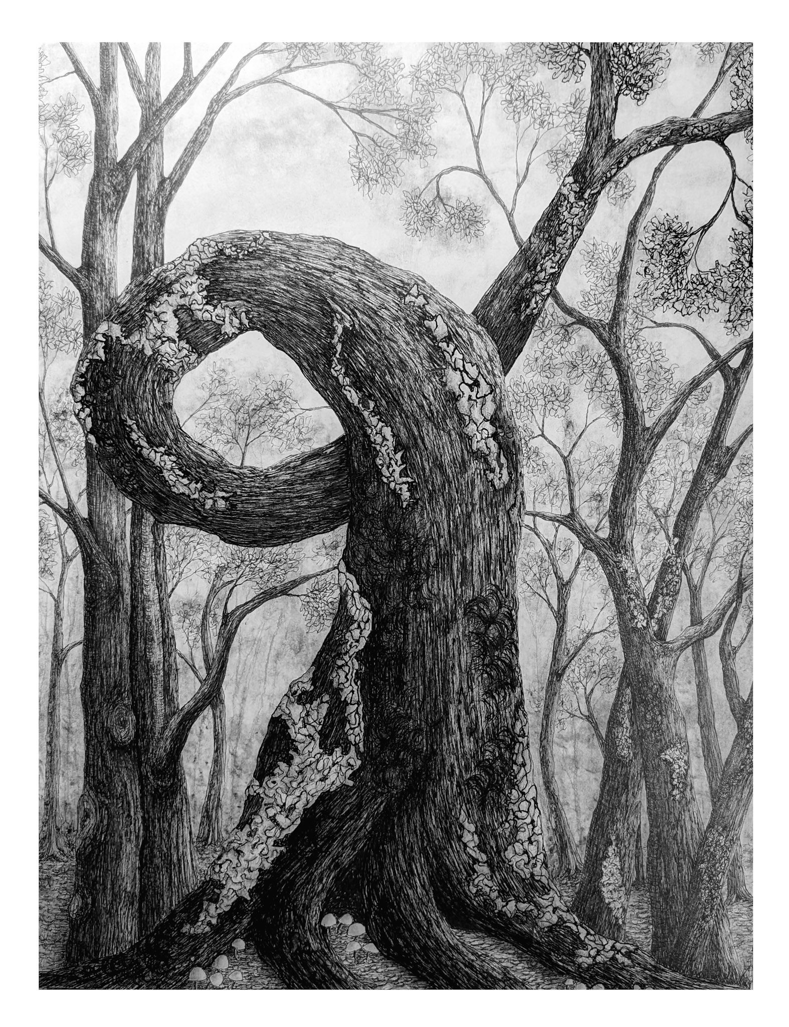 Titre: Toujours plus haut, peut-importe les chemins empruntés. Format: 11''X14'' + encadrement. Médiums: Encre, plume et graphite.