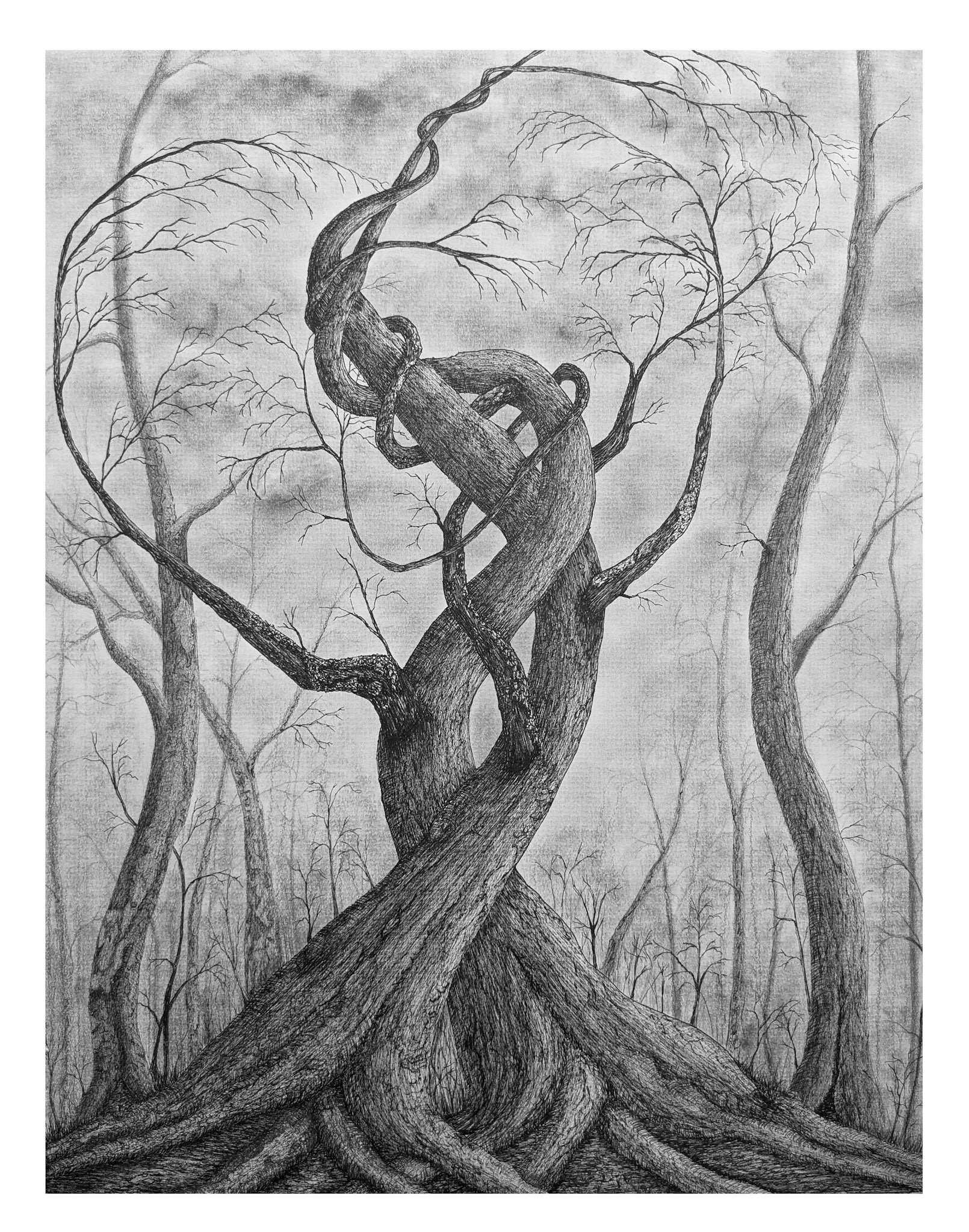 Titre: L'union. Format: 16''X20''. Médiums: Encre et graphite.