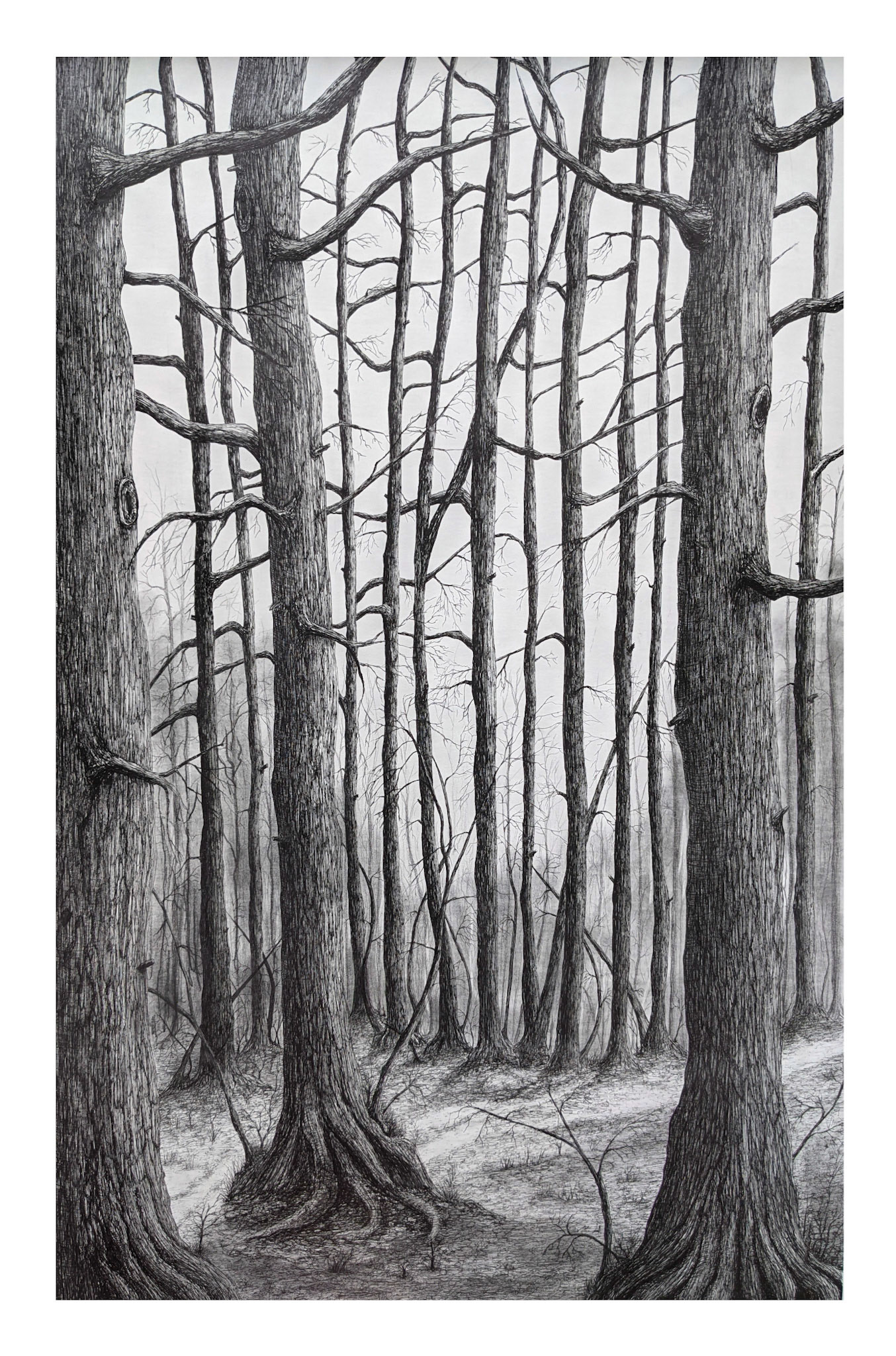 Titre: Droiture. Format: 20''X30''. Médiums: Encre et graphite.