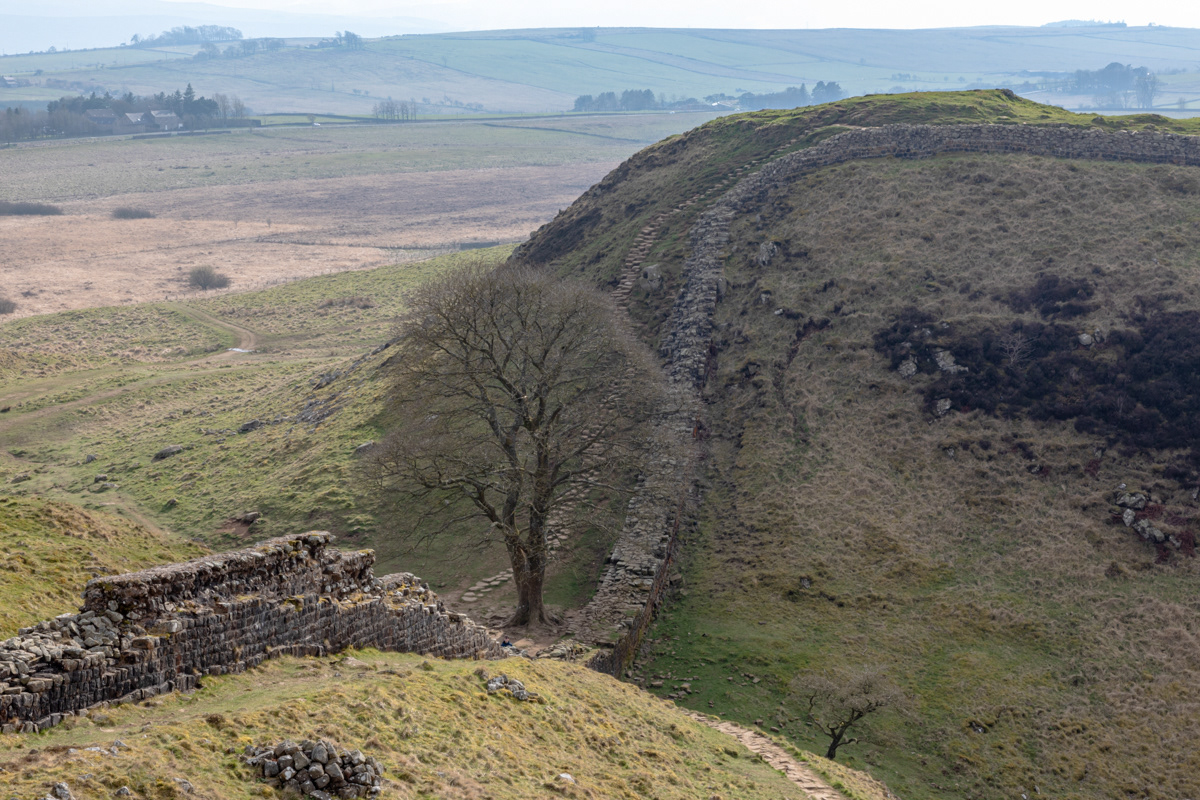 Hadrian's Wall at Sycamore Gap