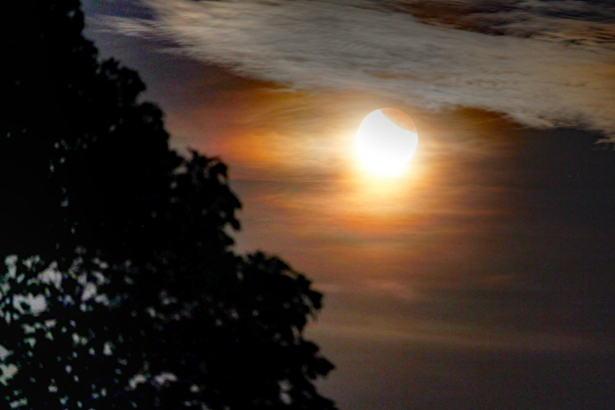 Partial Lunar Eclipse