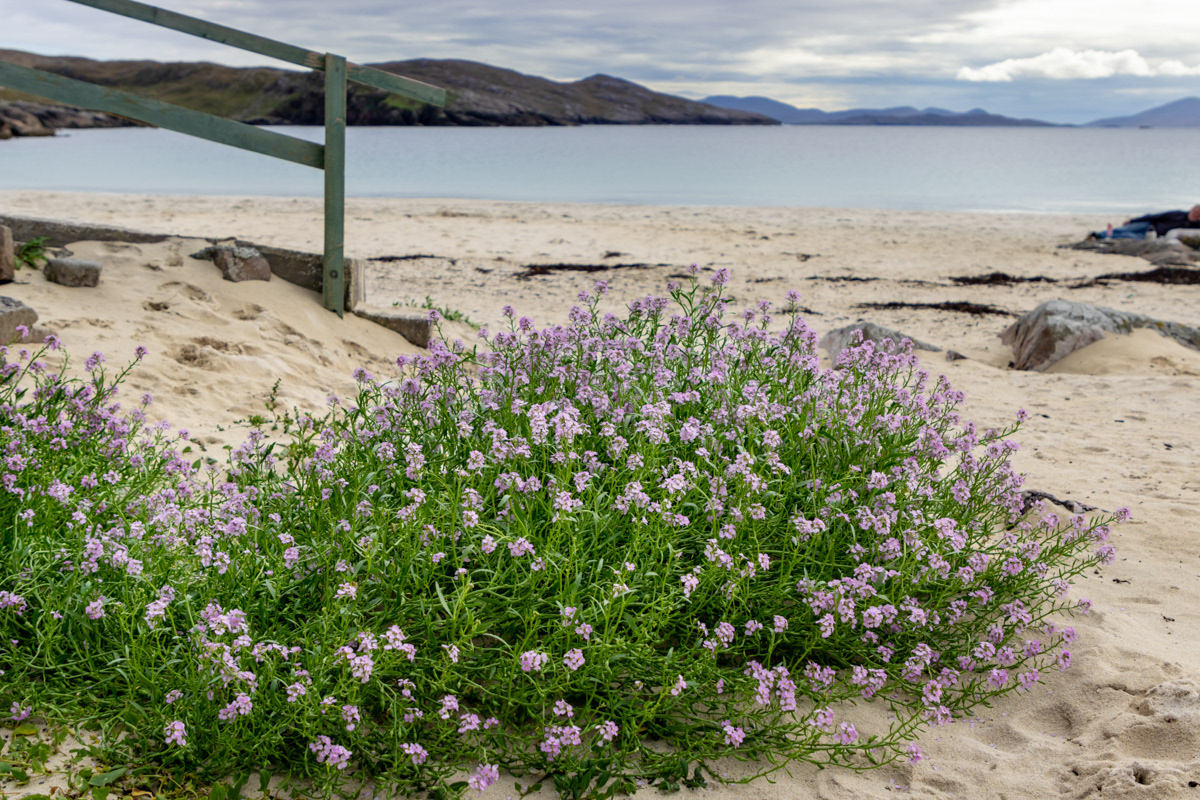 Hushinish Beach, Isle of Harris