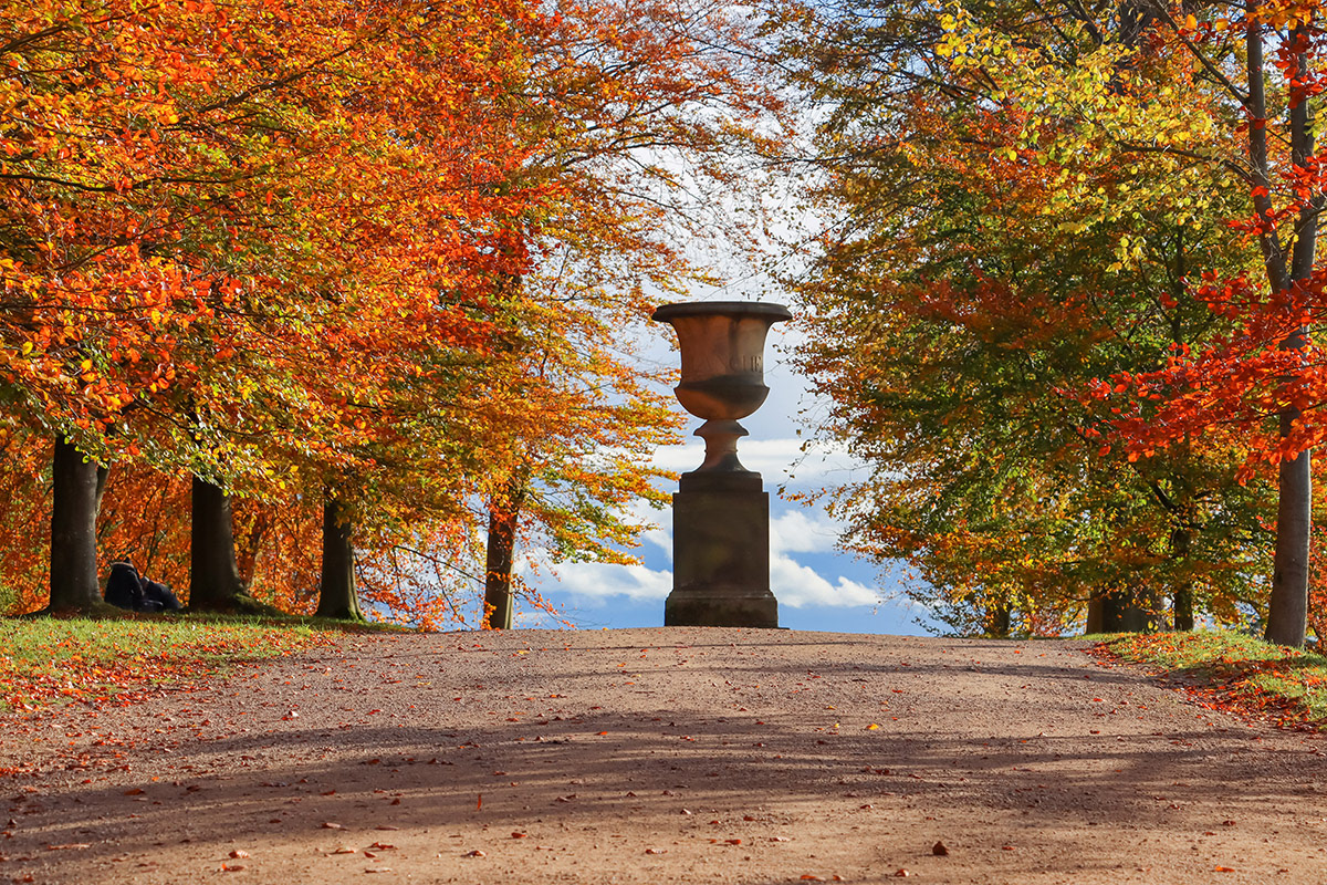 The Gardens at Chatsworth House