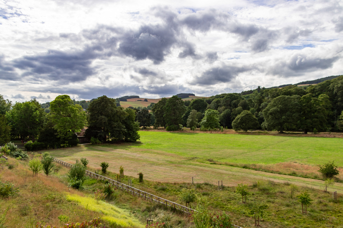From Abbotsford House to the River Tweed (1)