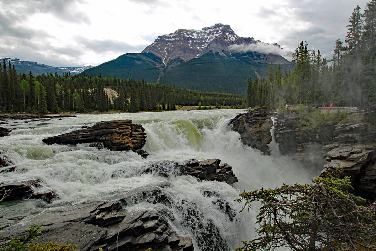 Athabasca Falls, Canadian Rockies