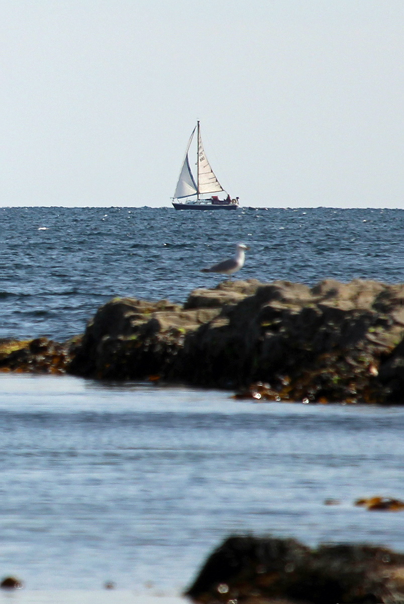 Yacht off Southern Arran