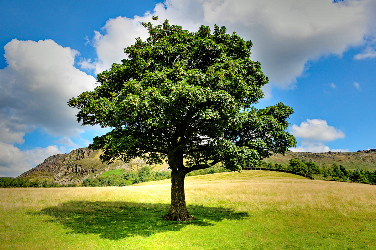 Dovestone Reservoir